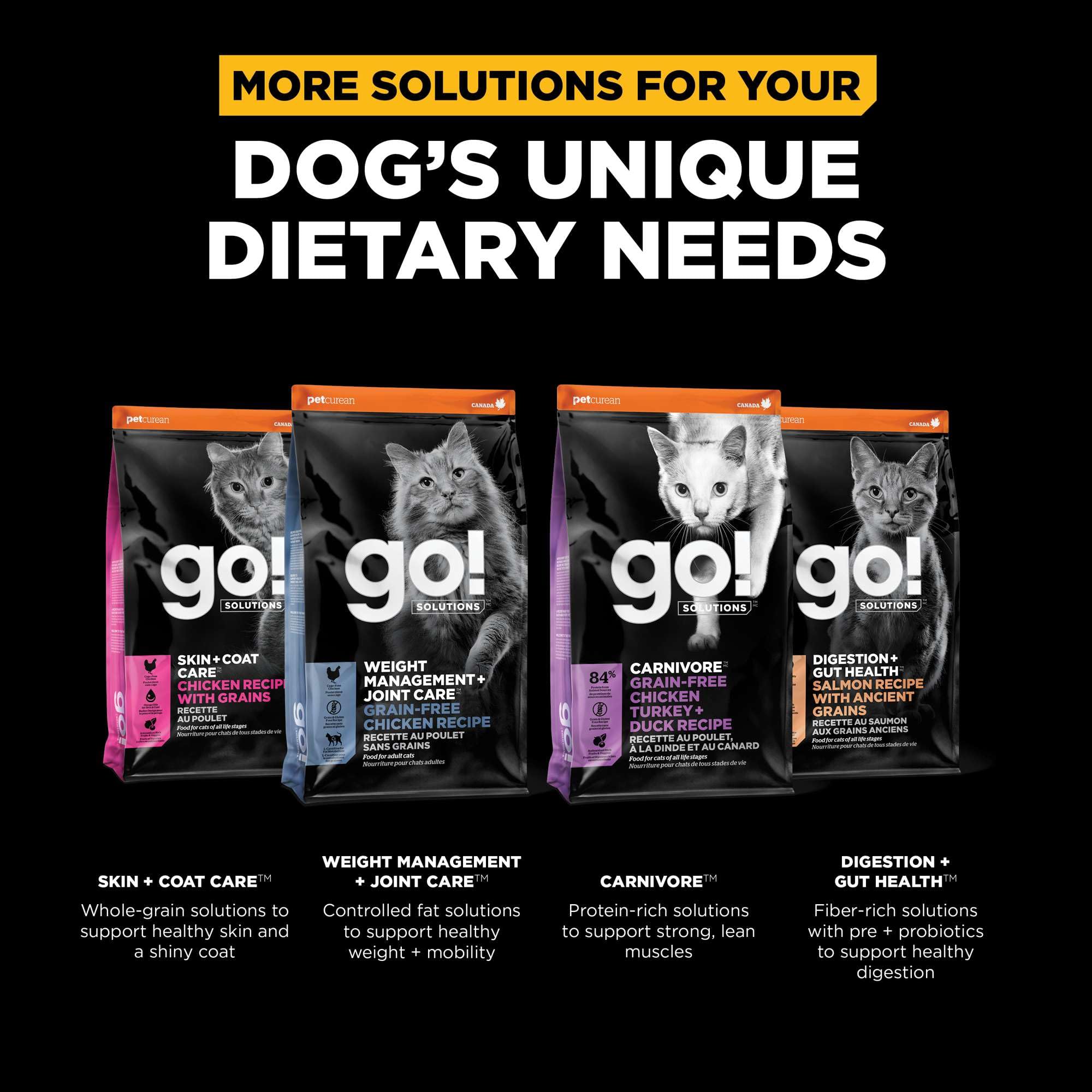 Go! Solutions Sensitivities Limited Ingredient Insect Grain-Free Dry Cat Food, Chicken-Free Kibble Made by Experts for Sensitive
