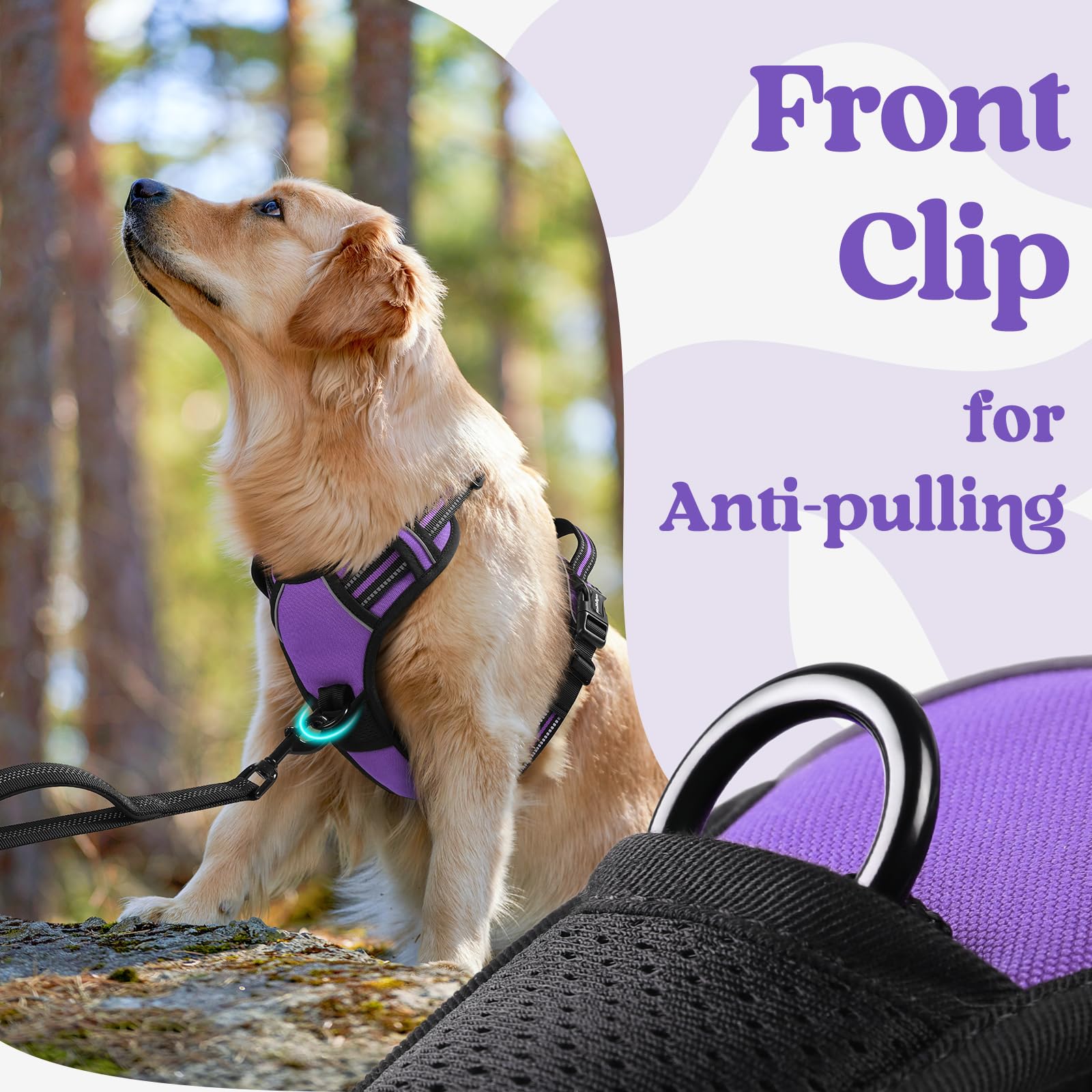 Rabbitgoo Dog Harness Small Sized, No Pull Pet Harness With 3 Buckles, Adjustable Soft Padded Pooch Vest With Instant Control Handle, Easy Walking Reflective Pet Vest For Small Dogs, Purple, S