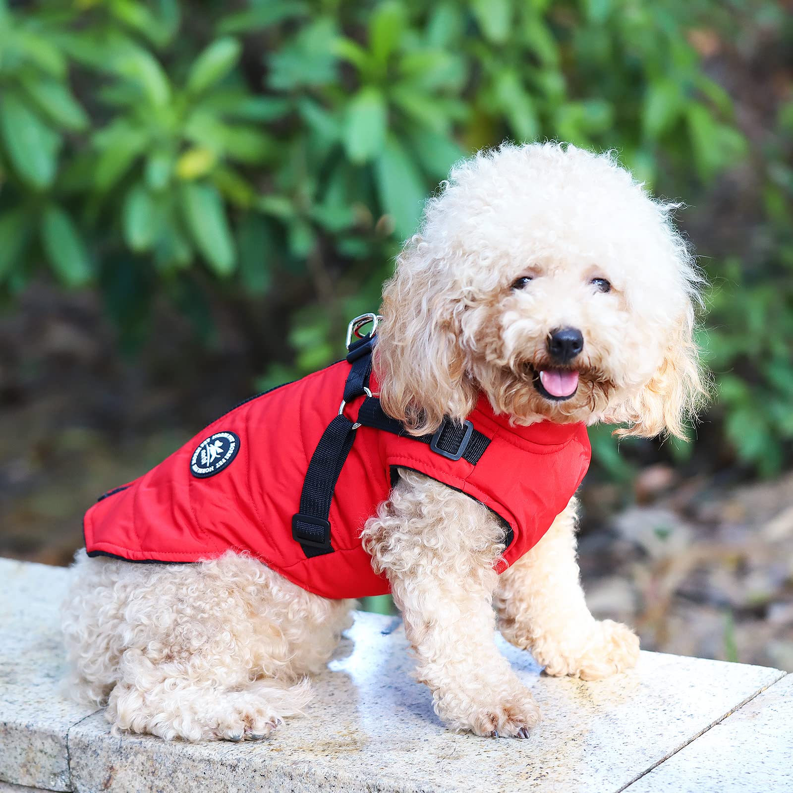 Norbi Dog Coat - Winter Jacket With Built-In Harness, Adjustable Warm Coats For Small To Large Dogs, Perfect For Cold Weather