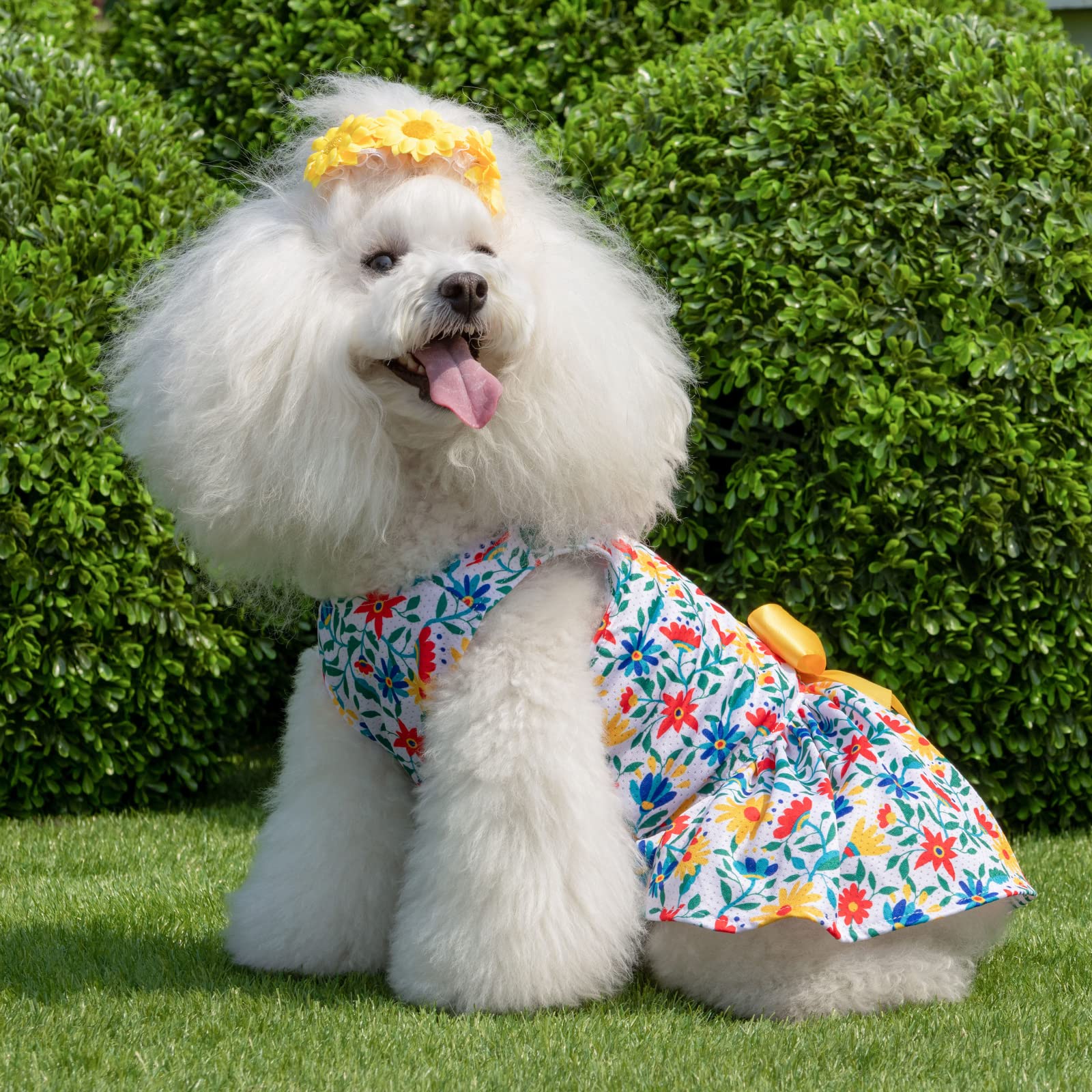 Cutebone Dog Mesh Dress Puppy Sundress Pet Outfit Summer Fashion For Small Dogs Girl Cat Clothes Bf20S