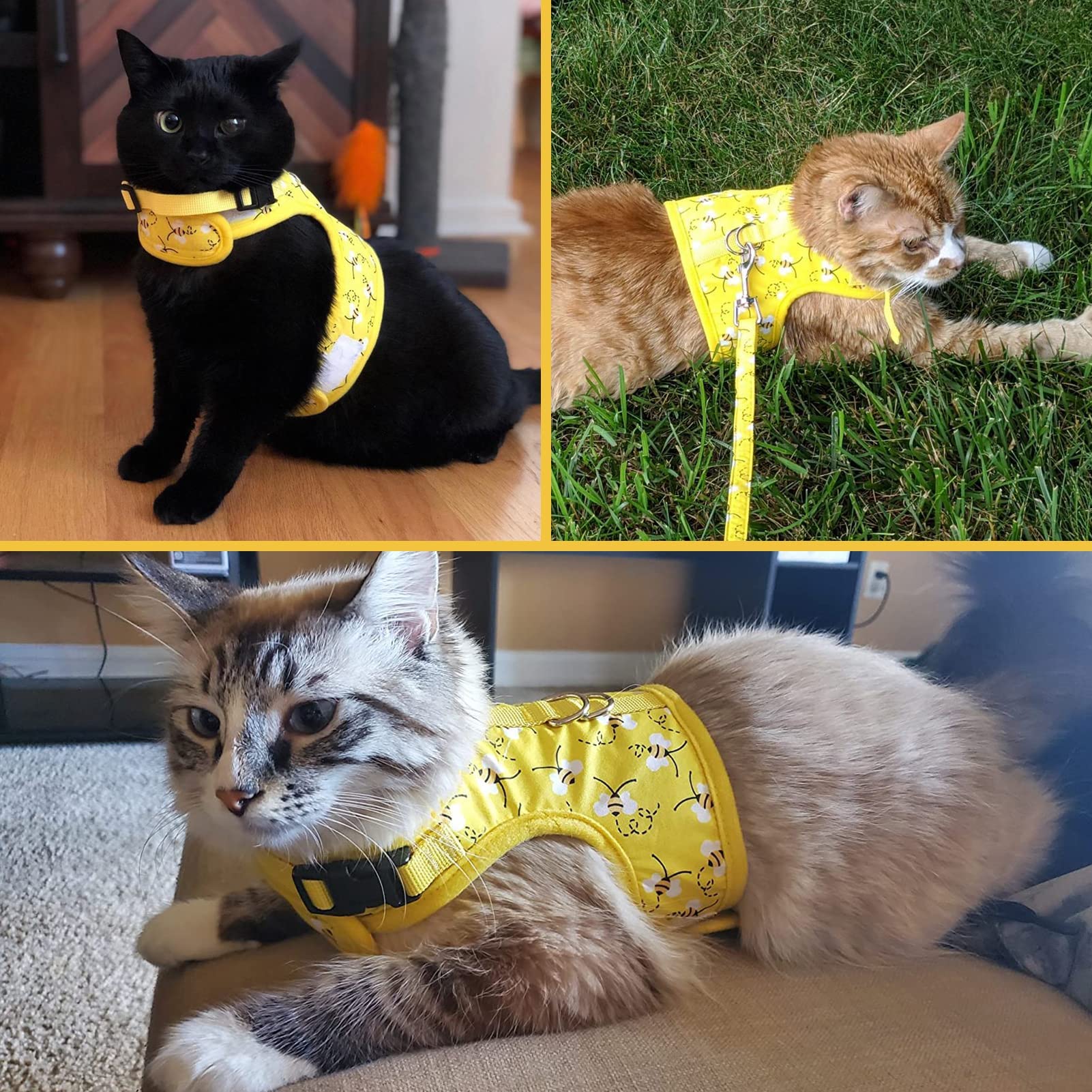 Bingpet Cat Harness With Leash And Collar For Walking - Escape Proof With 59 Inches Leash - Adjustable Soft Vest Harnesses For Medium Large Cats