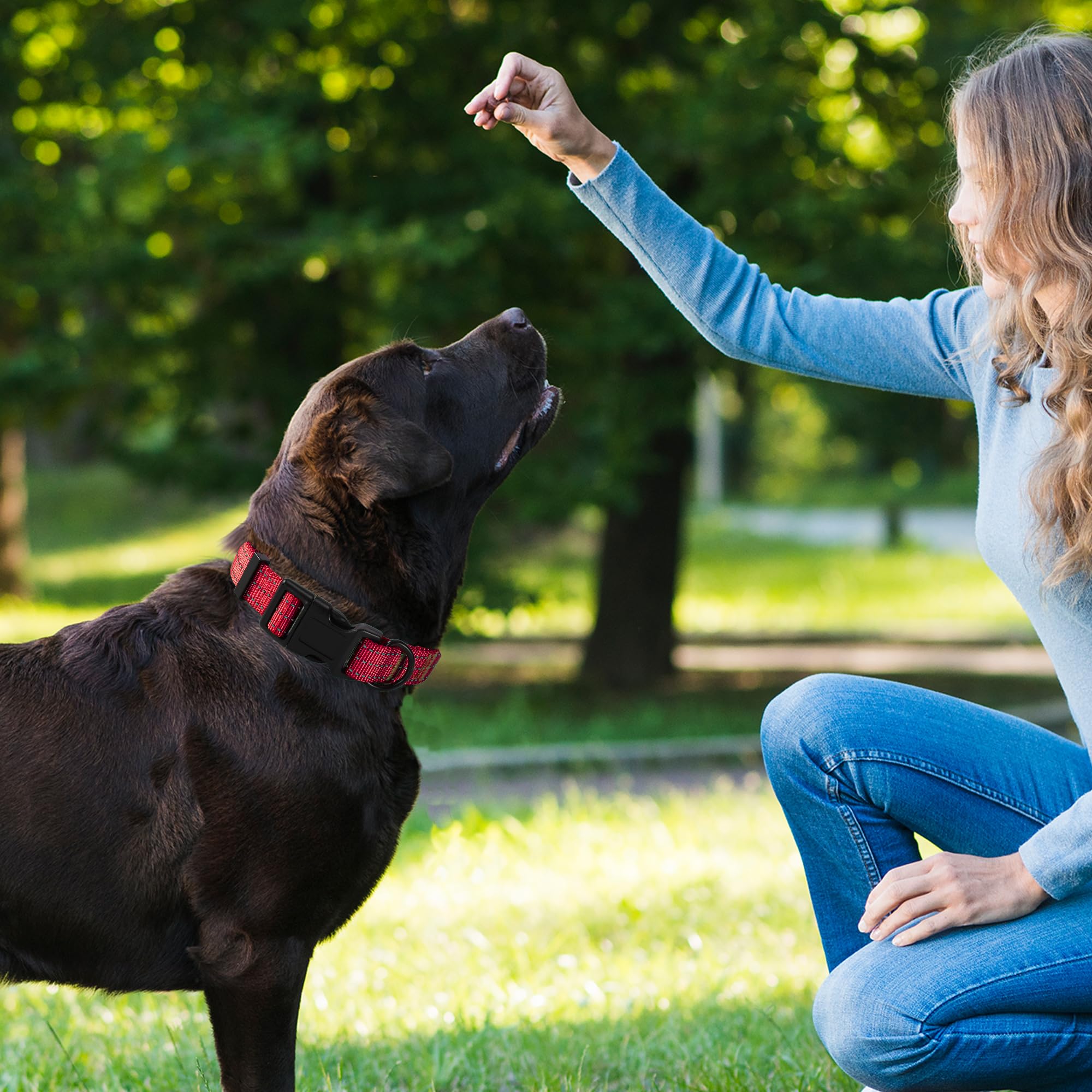 Mile High Life Dog Collar | Nylon Reflective Dog Collars | Light Weight Puppy Collars | Red Dog Collars For Medium Dogs (Solid R