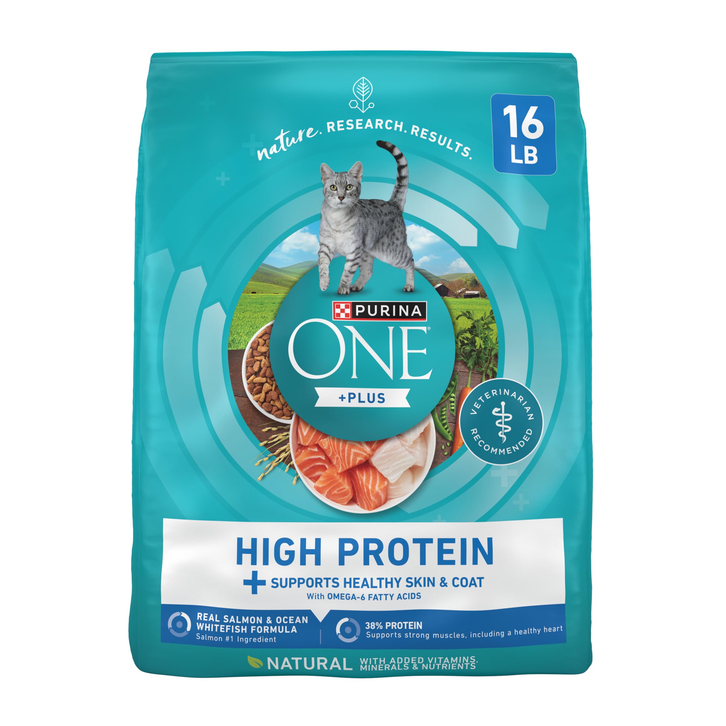 Purina ONE Plus High Protein Cat Food Dry Salmon and Ocean Whitefish Cat Skin and Coat Health Formula - 16 lb. Bag