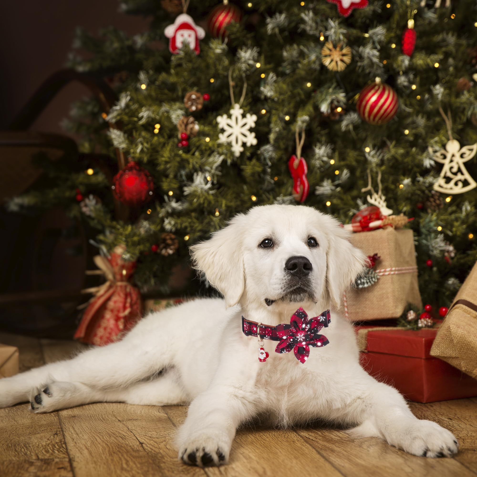 Adoggygo Christmas Dog Collar With Flower, Plaid Dog Christmas Collar With Removable Floral Adjustable Christmas Collars For Medium Dog (Medium)