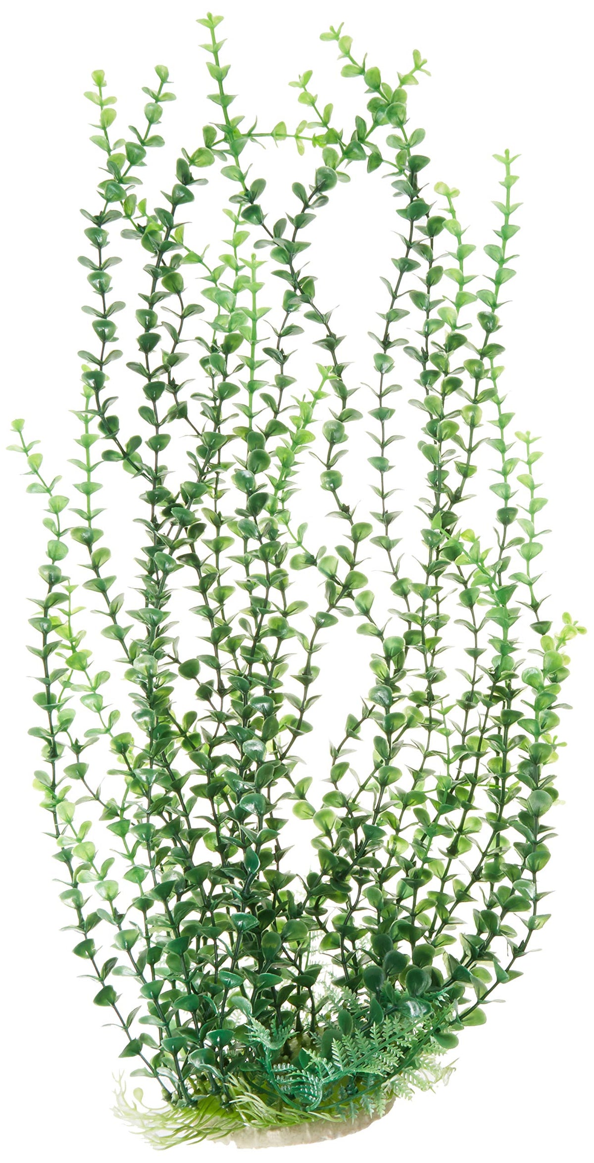 Aquatop Plastic Elodea-Like Aquarium Plant, Green, 20' Tall