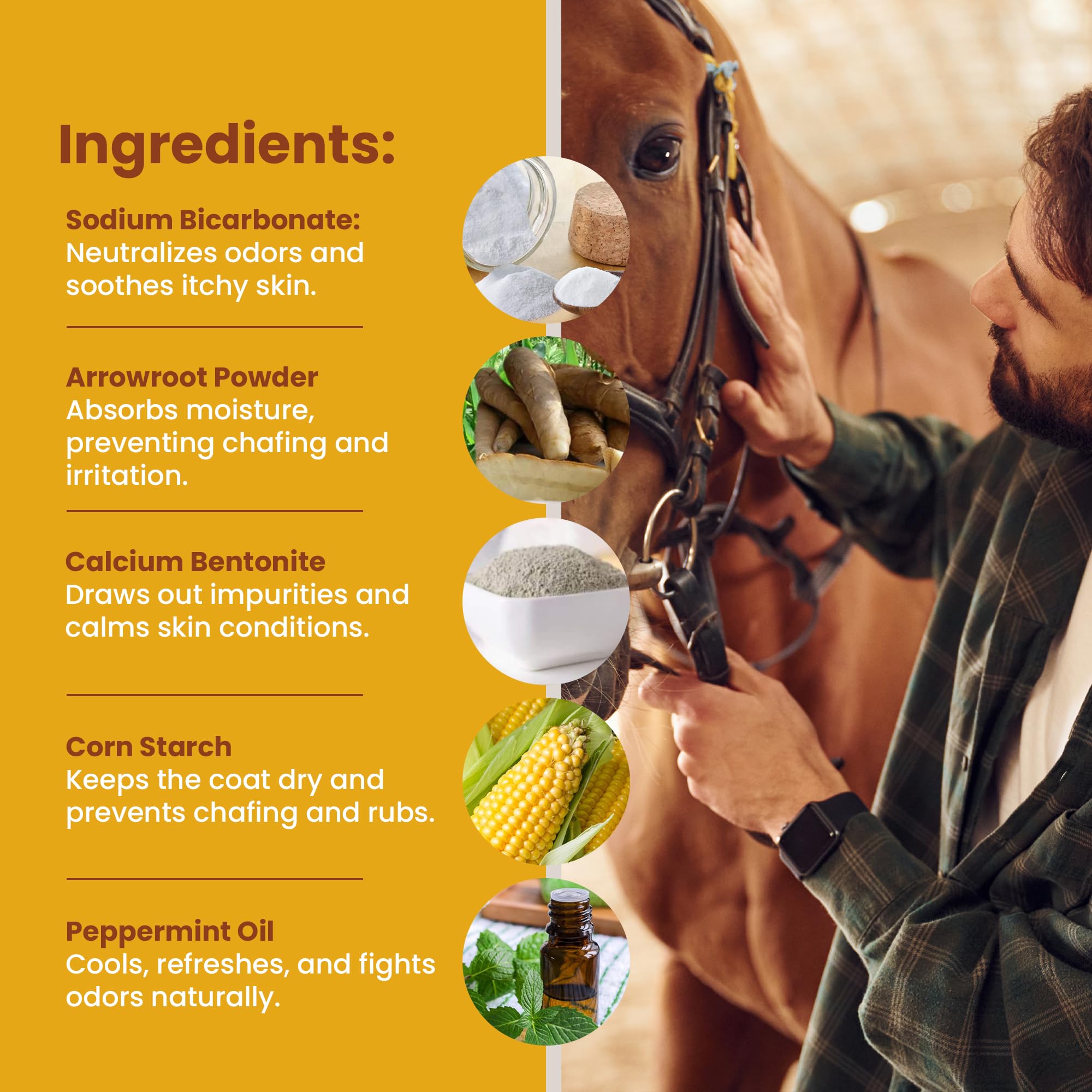 Eqvin Coat Care Powder For Horses | Made In Usa | Equine Skin Conditioner For Sweet Itch, Rain Rot & Skin Issues | Effective Dry