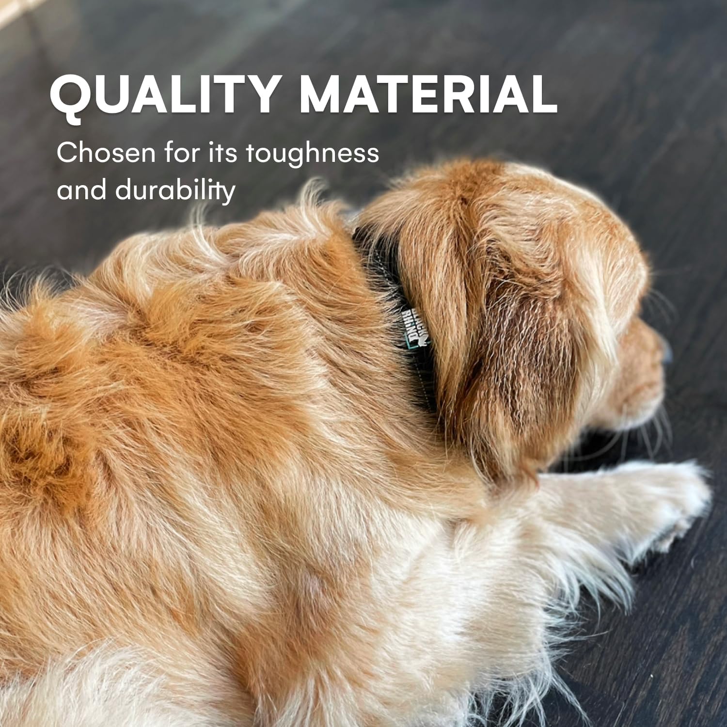 Black Rhino Dog Collar For Medium Dogs - 14-18 Inches Adjustable Reflective Dog Collar With Metal Buckle And Ultra-Soft Neoprene