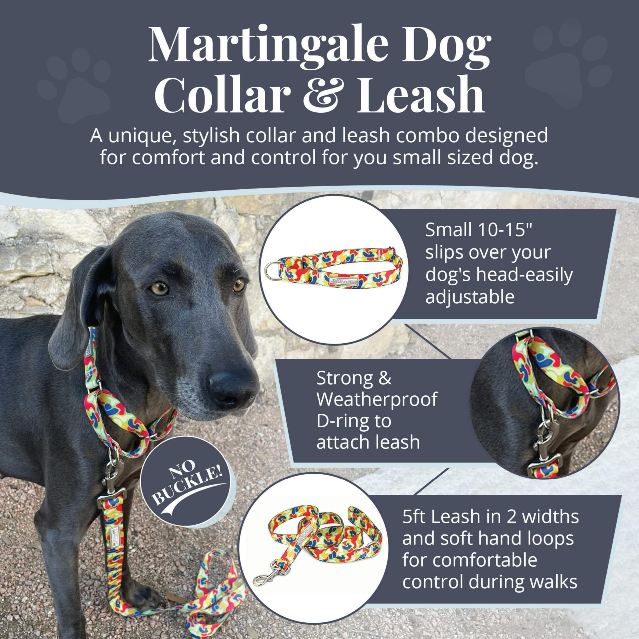 Lucky Love Dog Patterned Dog Collar & Leash - Adjustable, No-Slip, Durable, Soft Webbing, & Comfortable Dog Collar & Leash Set F