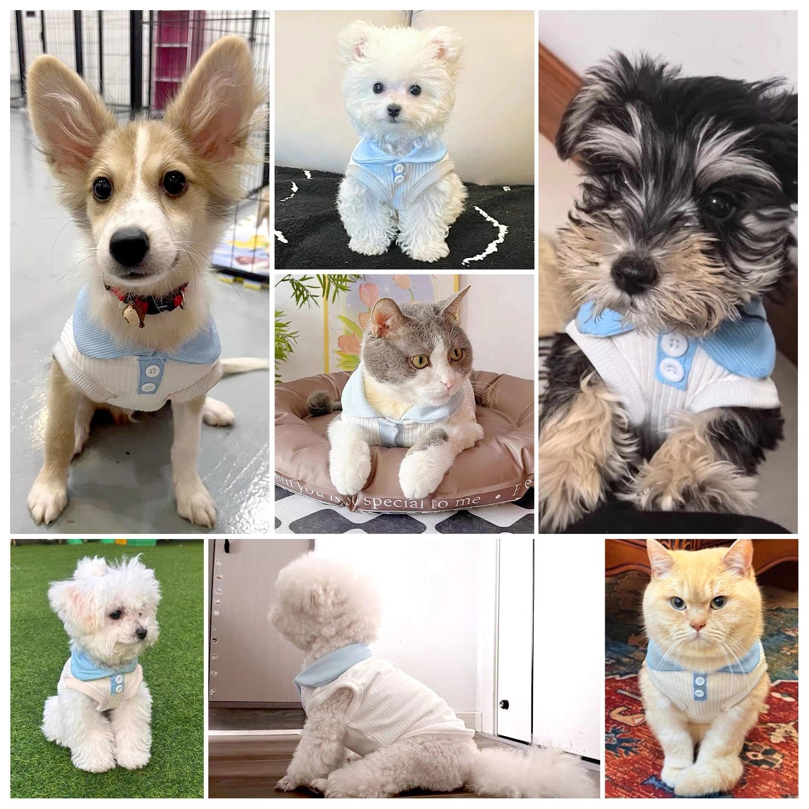 Axiijgl Dog Tshirts For Small Dogs Polo Shirt Stretchy Dog T Shirt Breathable Dogs Cooling Vest Sweatshirts Girl Boy Puppy Dachs