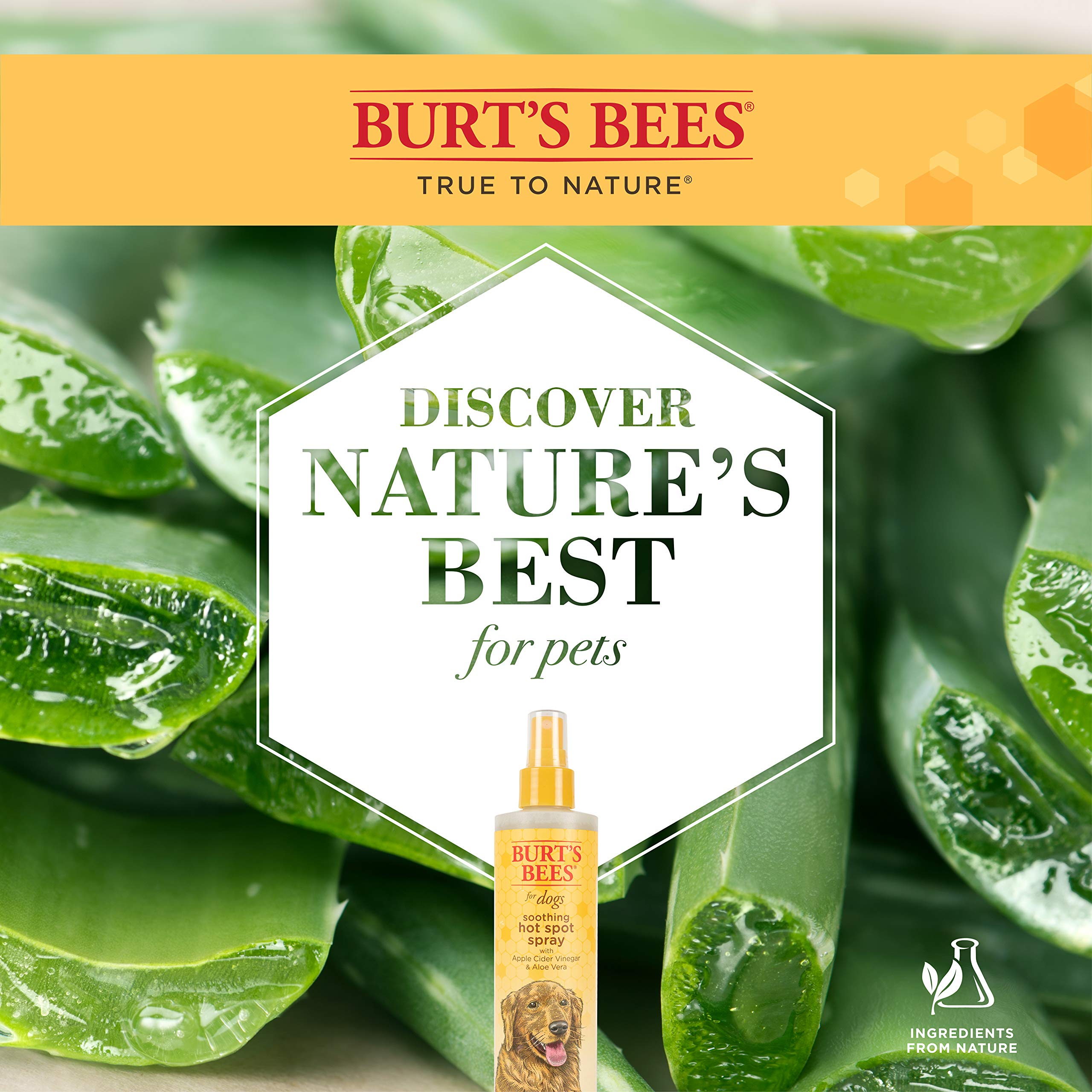 Burt'S Bees For Dogs Hot Spot Spray For Dogs - Spray For Dog Hot Spots, Dog Grooming Supplies, Apple Cider Vinegar Dog Spray, Dog Hot Spot Treatment, Apple Cider Vinegar Spray For Dogs