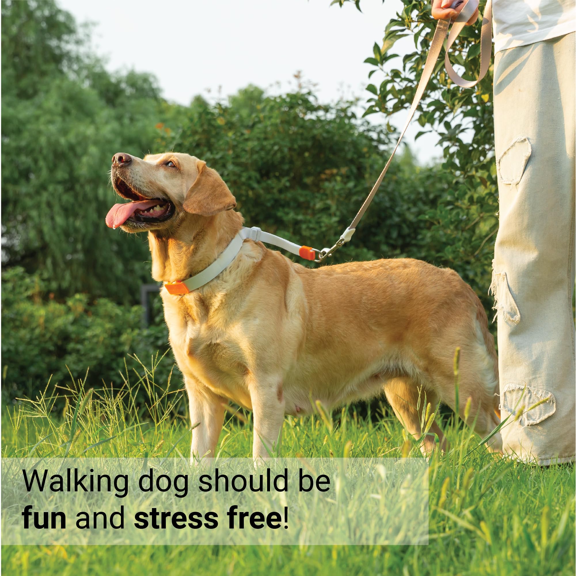 Svd.Pet Dog Prong Collar For No-Pull Training, Quick-Release Buckle Adjustable Pinch Collar For Small Medium Large Dogs (White,