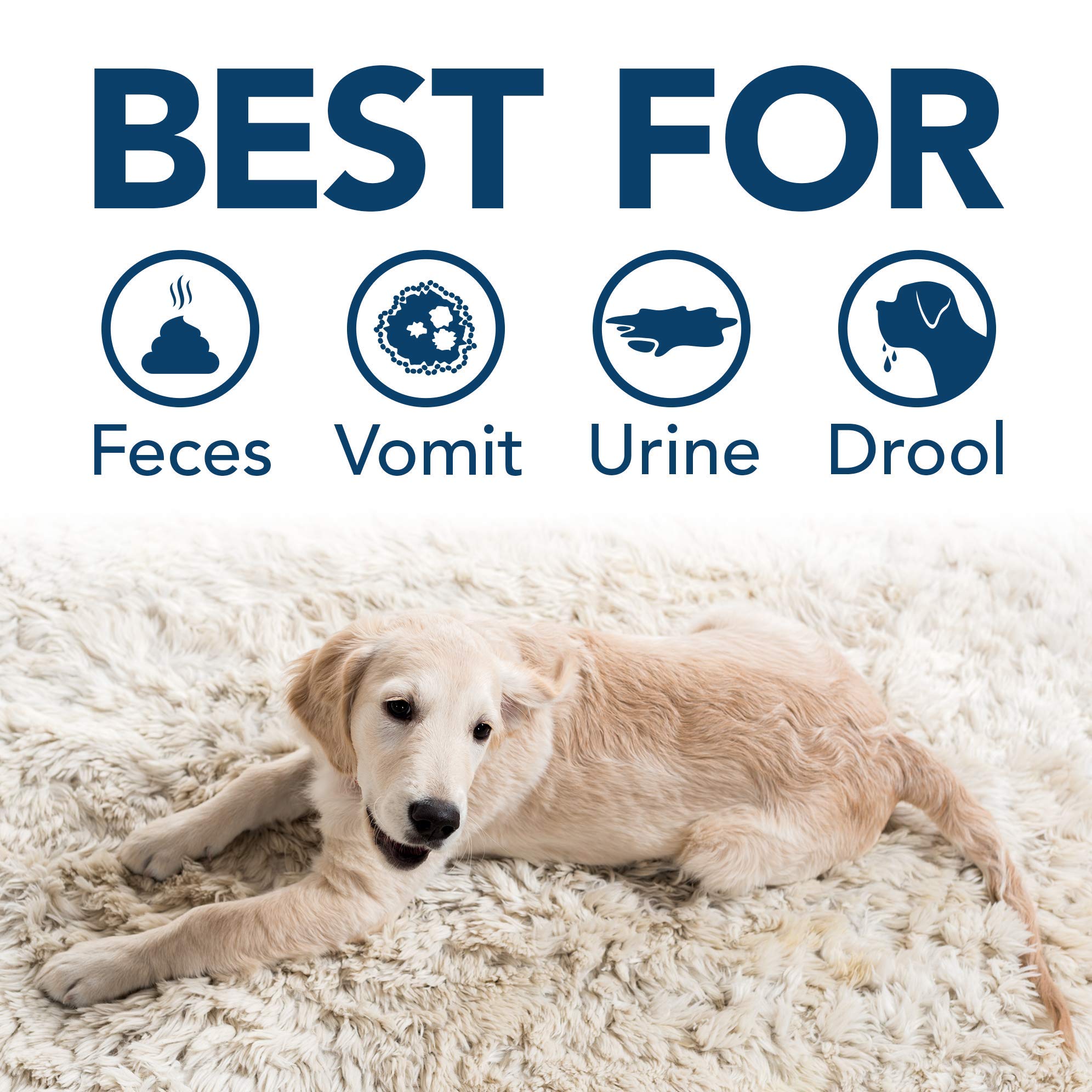 Simple Solution Stain And Odor Eliminator Spray For Dogs & Cats, Enzyme Cleaner With 2X Pro-Bacteria Cleaning Power, Strong Smel