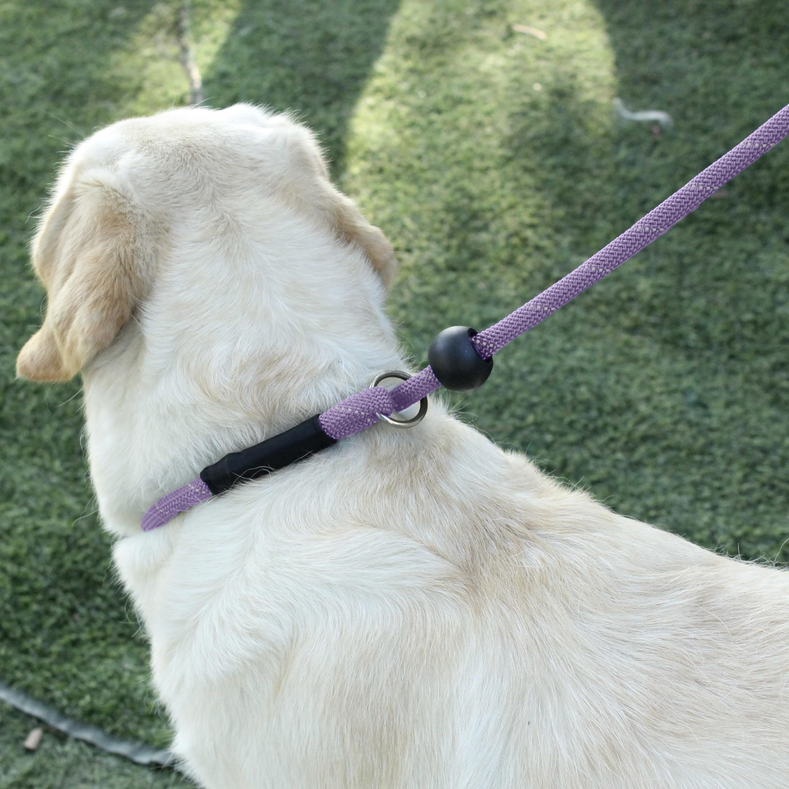 Hiado Slip Lead Dog Leash Reflective With Stopper Loop Rope Training No Pull For Small Medium Large Dogs 4Ft Lavender