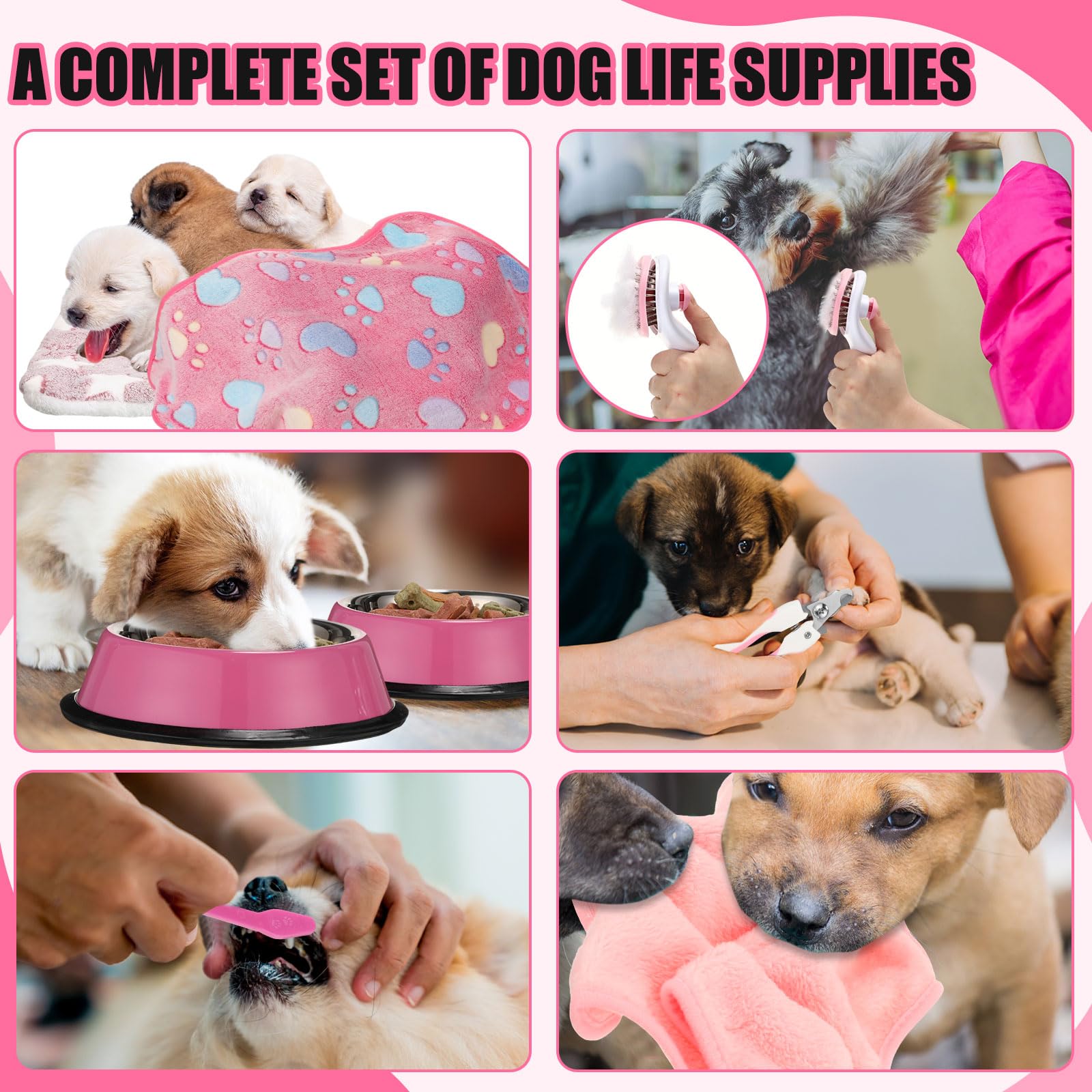 Abbylike 50 Pcs Puppy Starter Kit For Small Dogs Essentials Includes Leash, Bowls, Teeth Brushes, Water Bottle, And More Puppy A