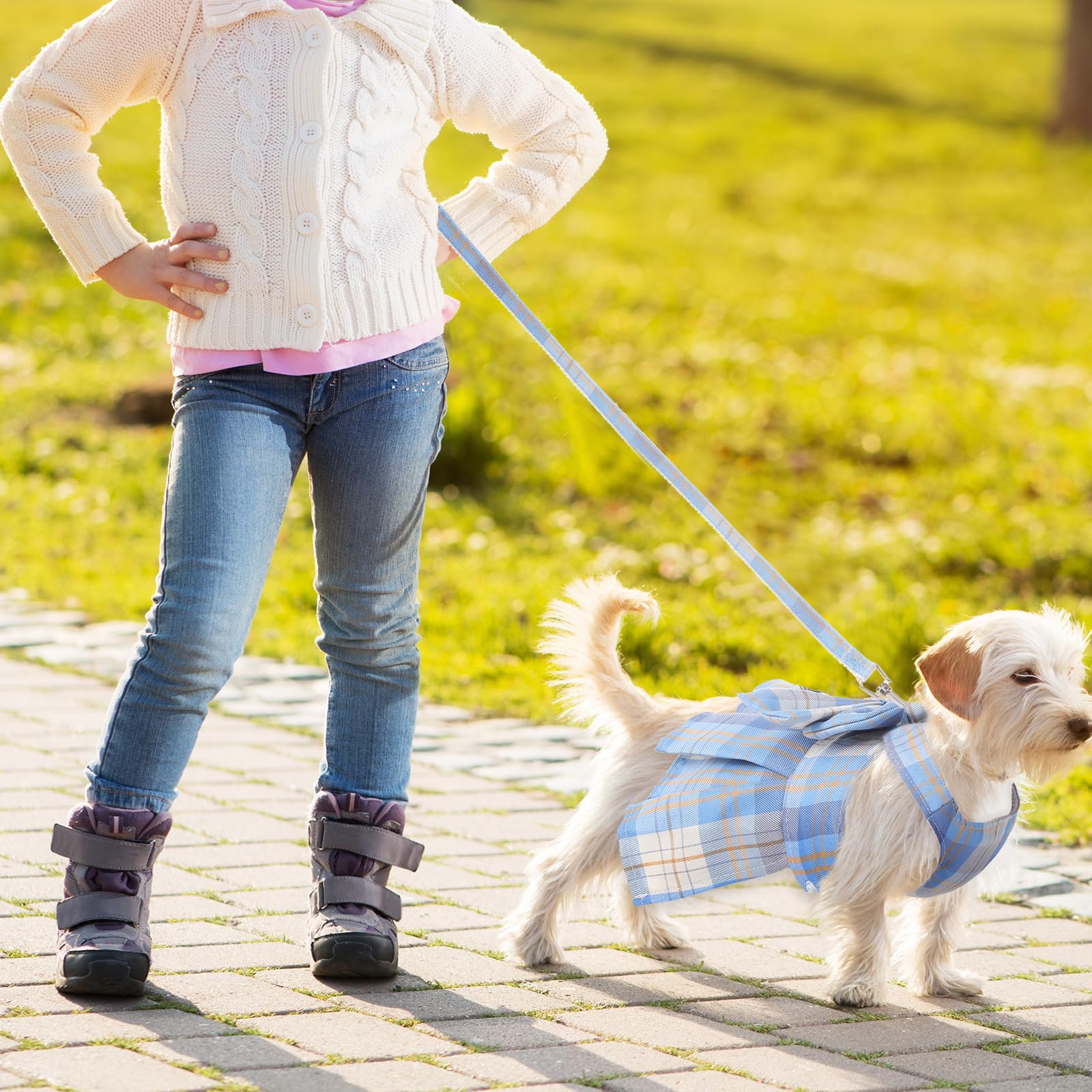 Potchen 4 Pcs Cute Plaid Dog Dress Set with Bow Tie Harness & Leash for Small Dogs, Puppy Clothes for Girls Summer Outfits(M,Lig