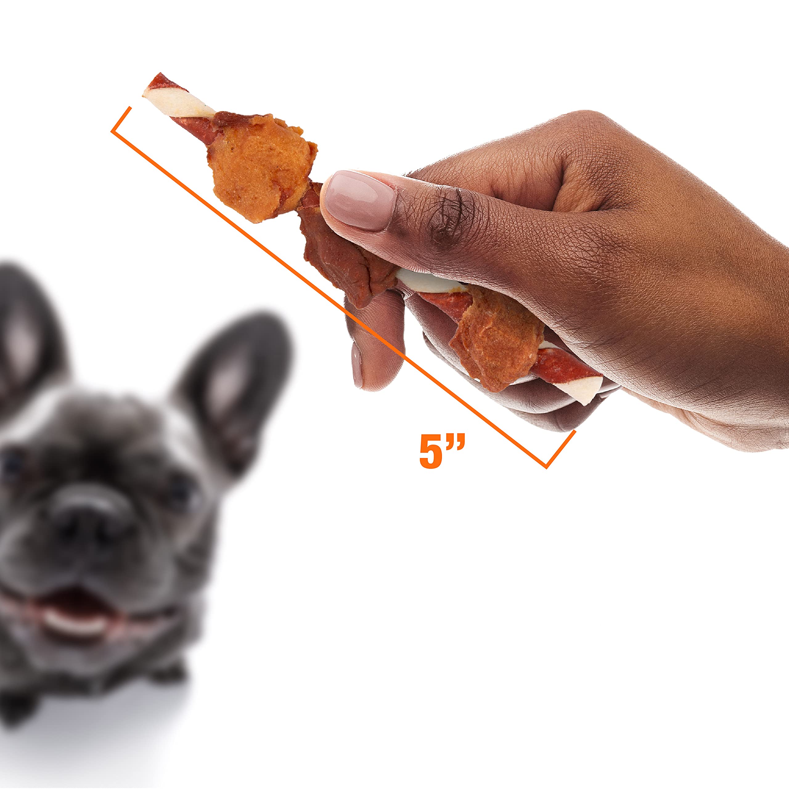 GoodNFun Triple Flavored Rawhide Kabobs for Dogs, 1 pack, 12 oz