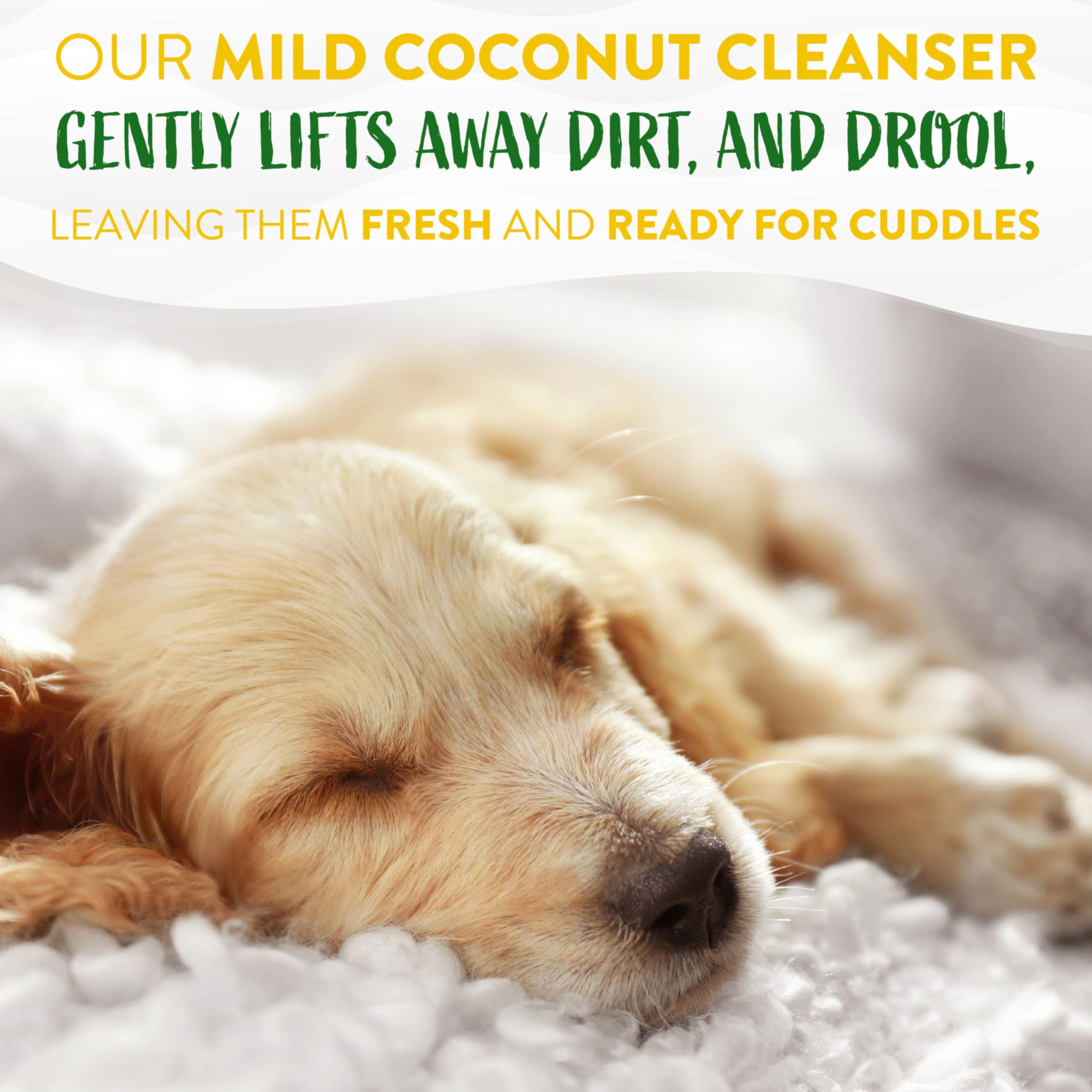 Tropiclean Hypoallergenic Dog Wipes For Paws And Butt | Fragrance Free Dog Grooming Wipes | Safe For The Face | Puppy & Cat Friendly | 100 Count