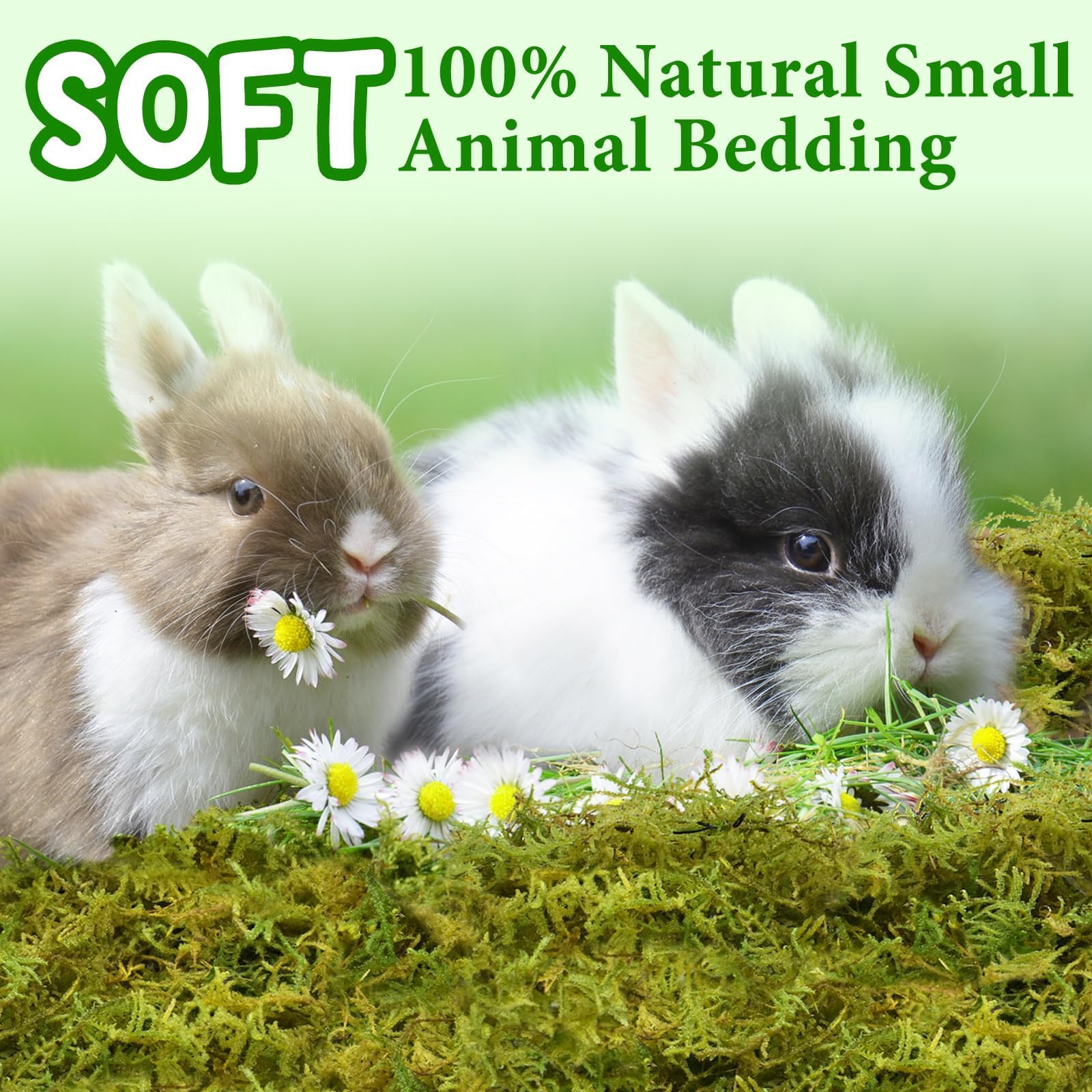 Halatool 12Qt Small Animals Bedding & Nesting Material, Forest Moss For Odor Control Rabbits Squirrels Hamsters Guinea Pigs, Sof