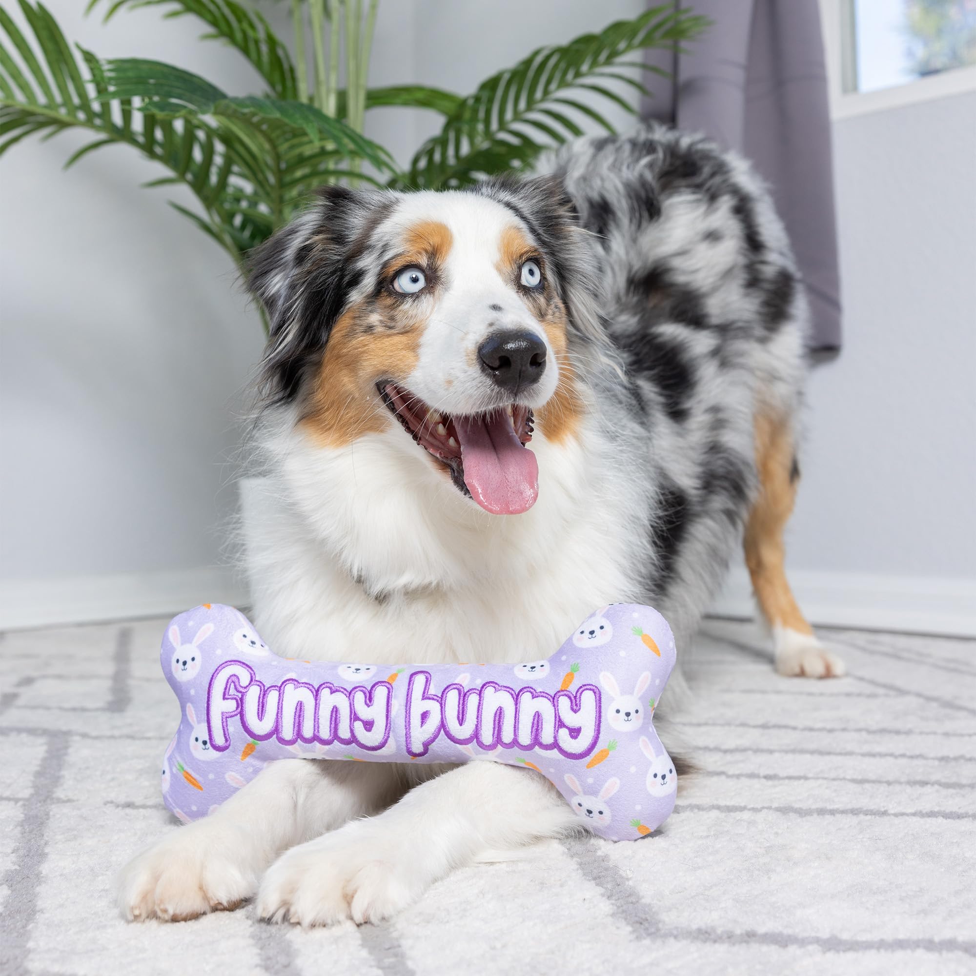 Huxley & Kent For Dogs - Funny Bunny Bone (Small) - Easter/Spring Funny Dog Toy - Power Plush Funny Dog Toy With Squeaker - Fun,