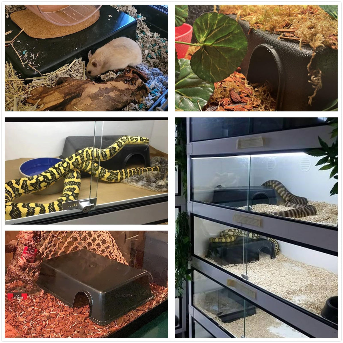Ball Python Hideout Leoterra Plastic Reptile Hideout Snake Hide Reptile Cave For Lizard Le ...