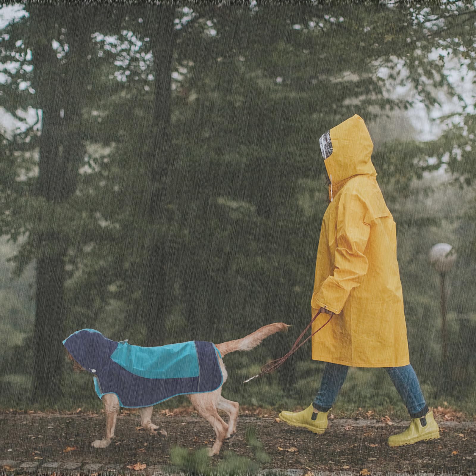 Iecoii Dog Raincoat,Waterproof Rain Coat For Small Dogs,Adjustable Pet Rain Jacket With Hood,Lightweight Doggy Raincoats With Re