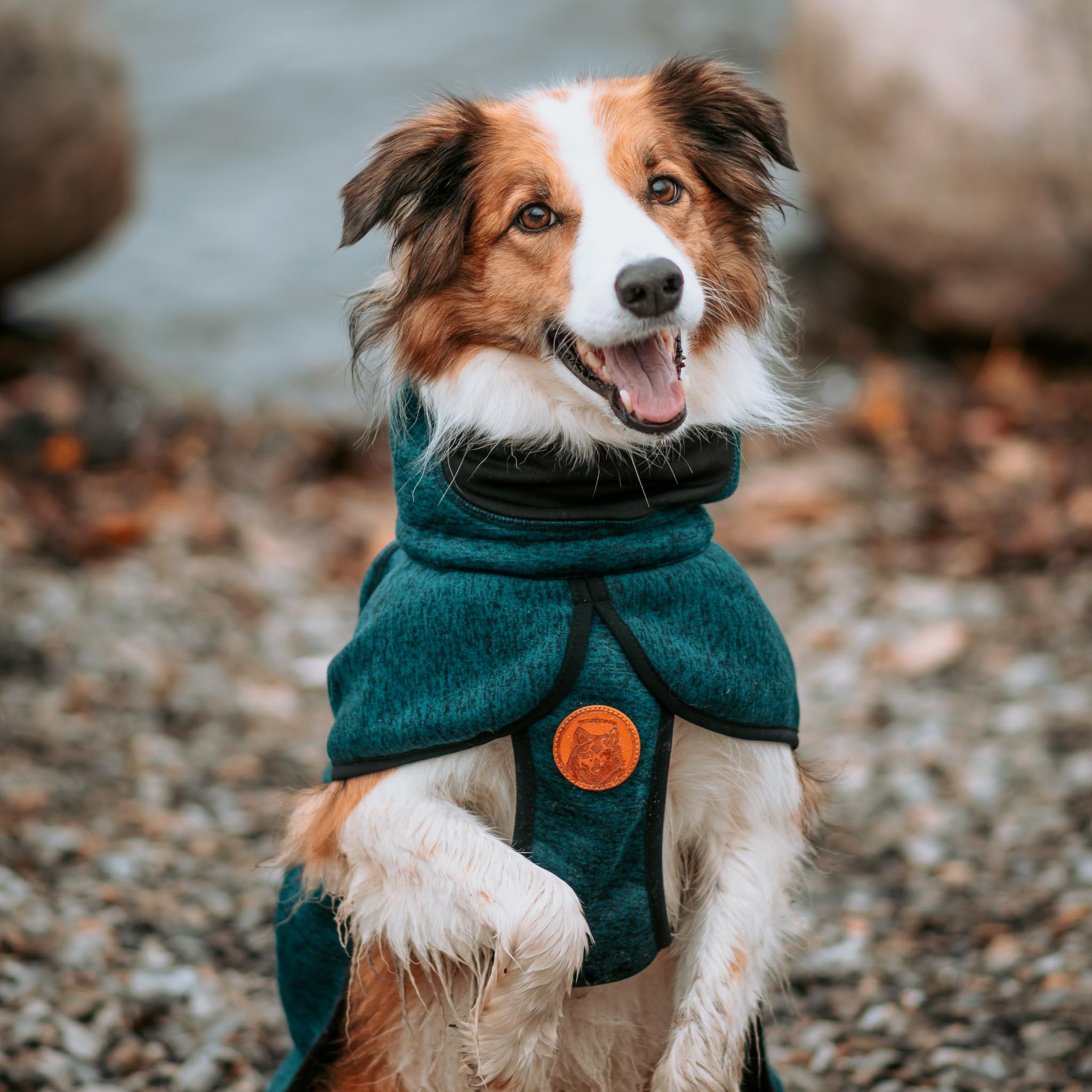 Wilderdog Fleece Dog Jacket With Neoprene Neck Gaiter - Large - Pacific Blue