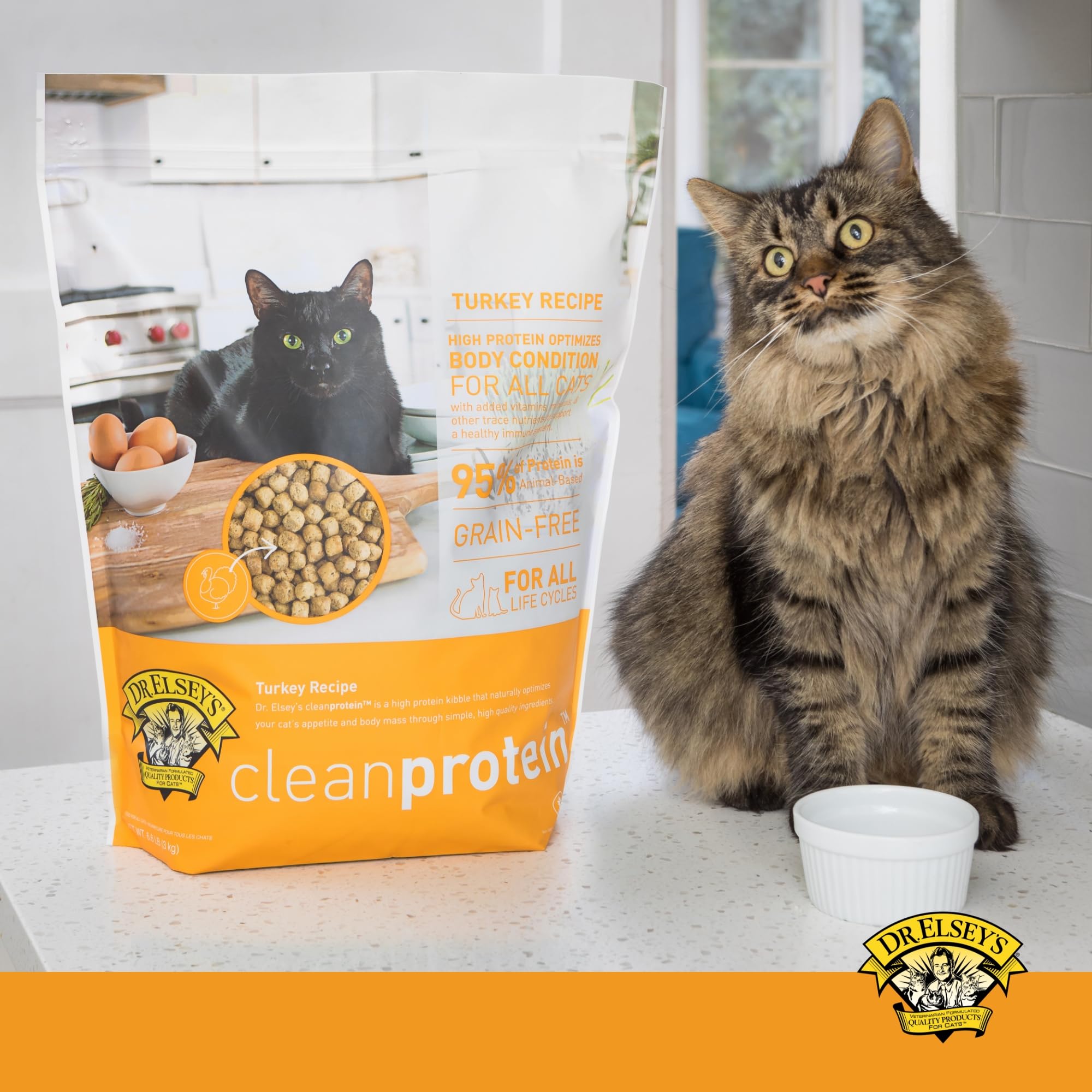 Dr. Elseys Clean Protein Turkey Dry Cat Food - Cat Kibble Dry Food for All Cats -Protein-Rich Healthy Cat Food w/Natural Ingred