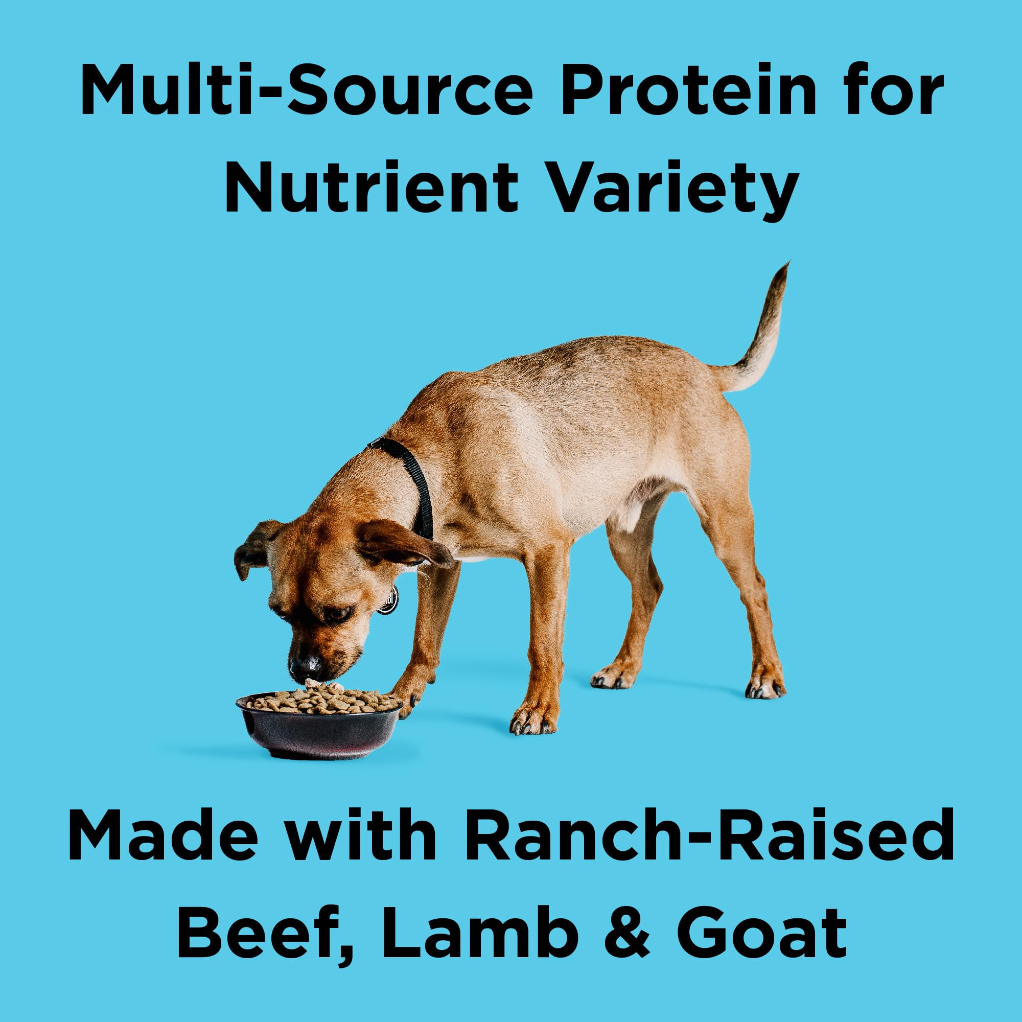BIXBI Liberty Grain Friendly Dry Dog Food, Ranchers Red Recipe, 22 lbs - Fresh Meat, No Meat Meal, No Fillers - Gently Steamed