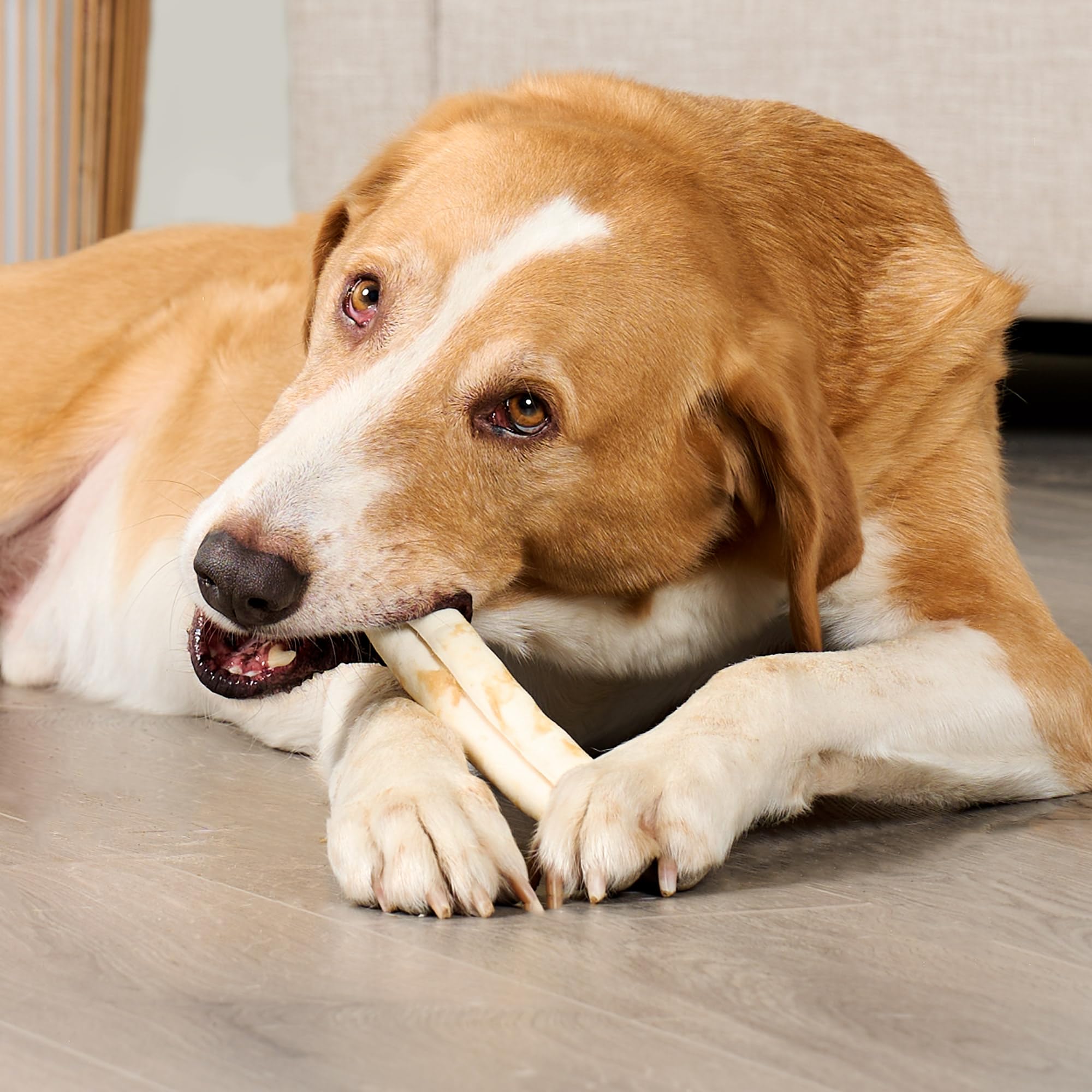 Treatly Dog Chew Treats - Combo Chews Beefhide Rolls 7" w/Beef Meat Wrap - 3 Count Pack