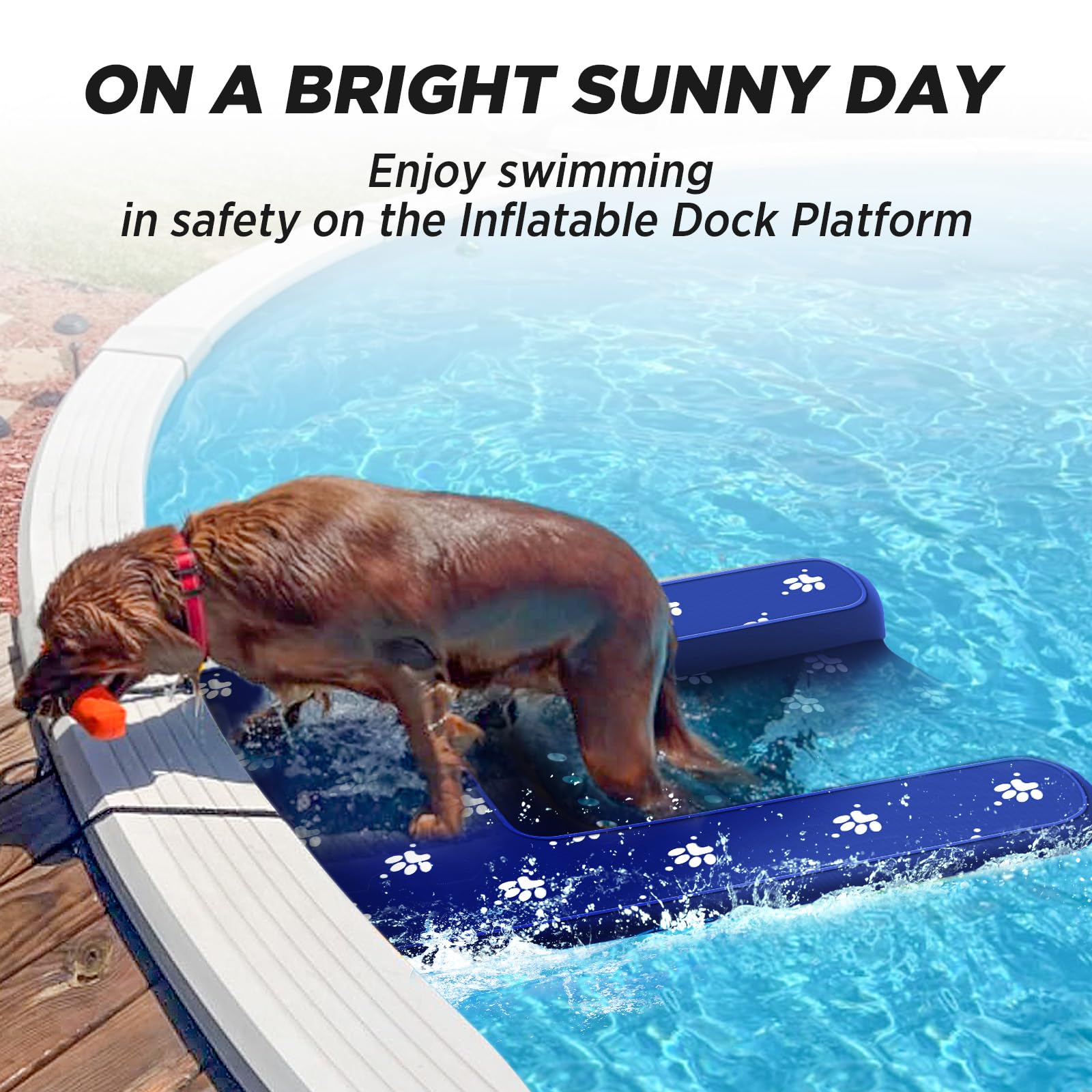 NGNFZQ Inflatable Dock Platform with Electric Pump, Non-Slip Water Ramp for Dogs, 4.7ft x 3ft x 6in, Blue, Model NGP462501