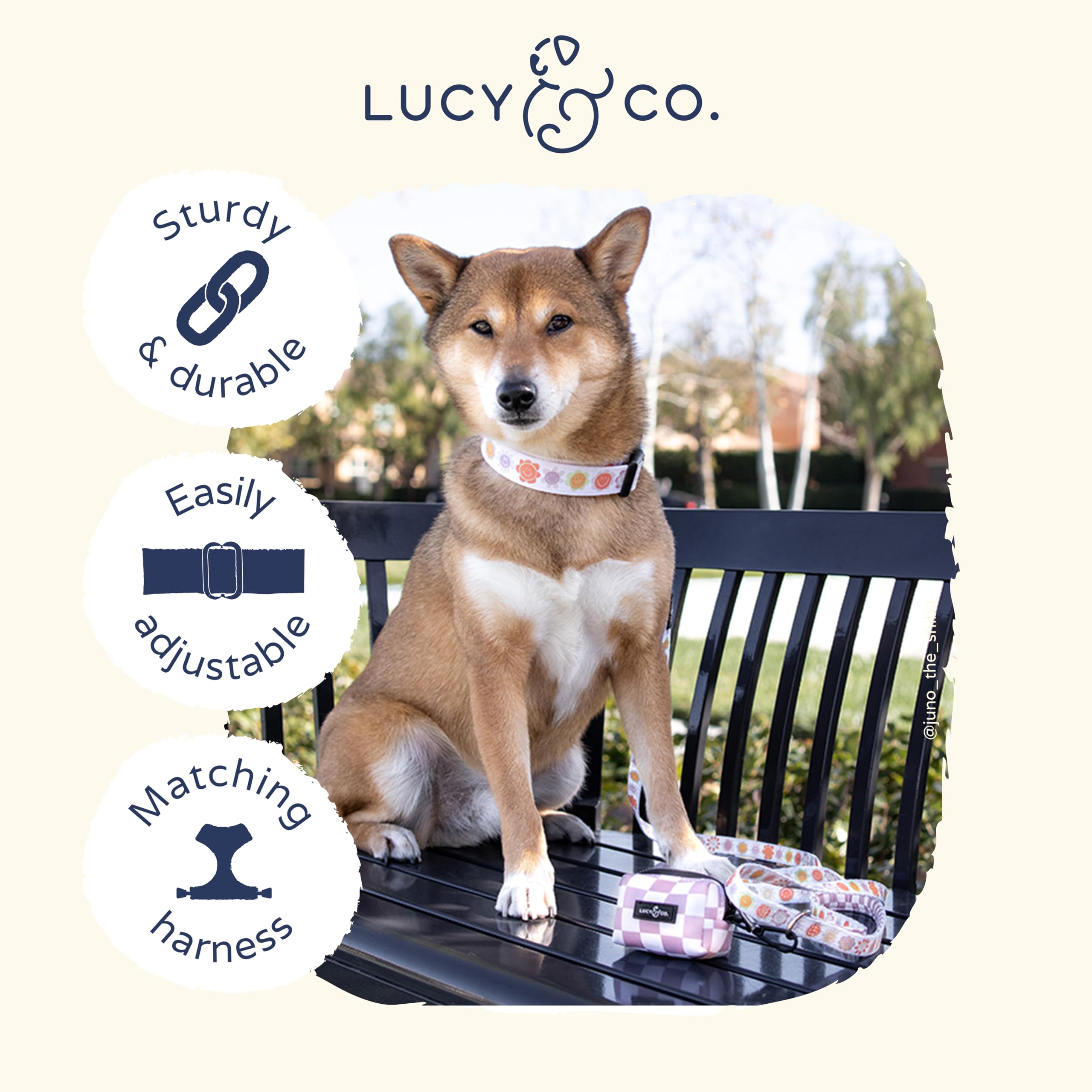 Lucy & Co. Ballet Bows Dog Collar - Durable Lightweight Designer Collar For Pets - Adjustable Metal Safety Buckle - White & Pink