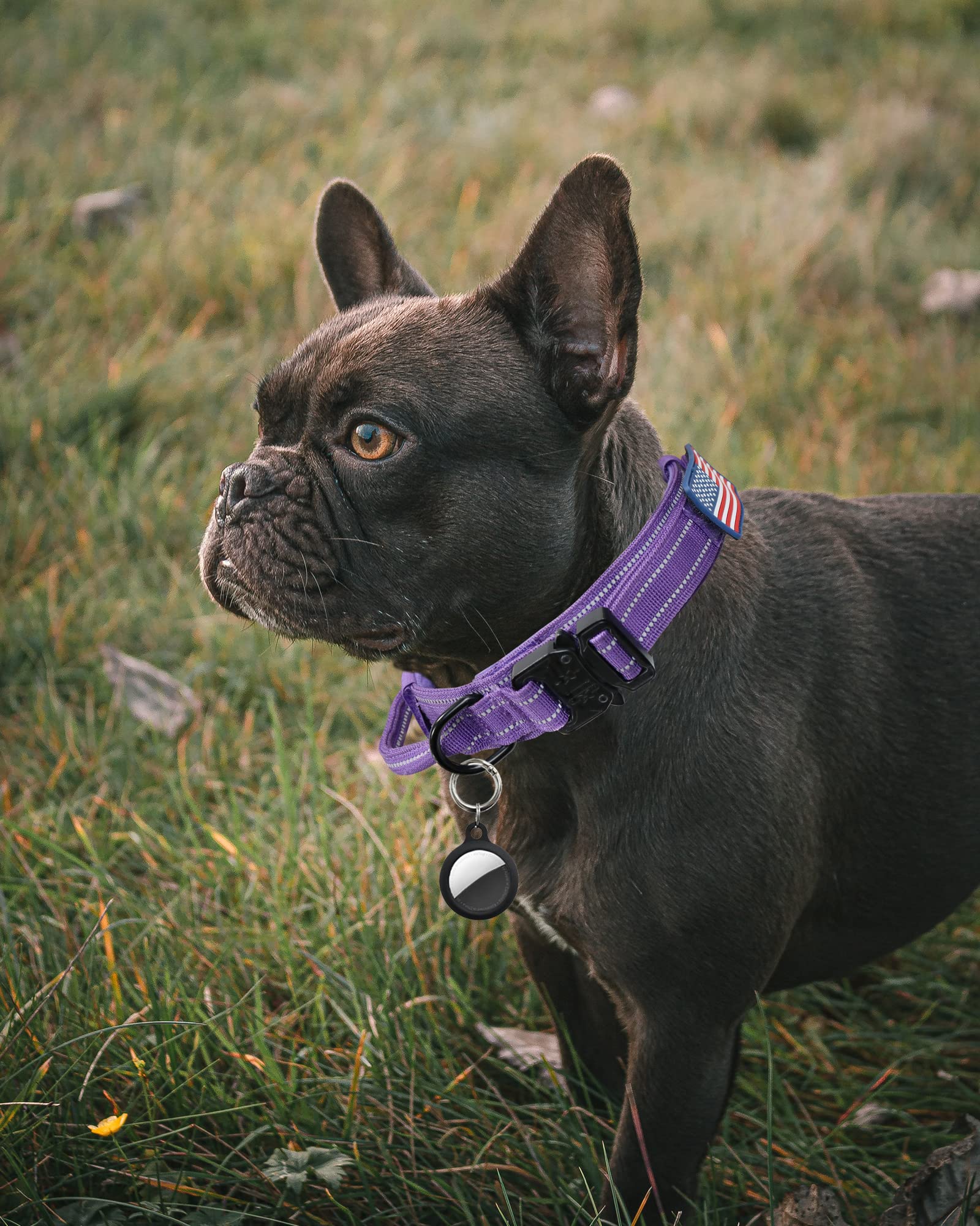 Aubell Reflective Dog Collar, Tactical Dog Collar For Large Dogs, Heavy Duty Dog Collars With Control Handle And Metal Buckle Fo