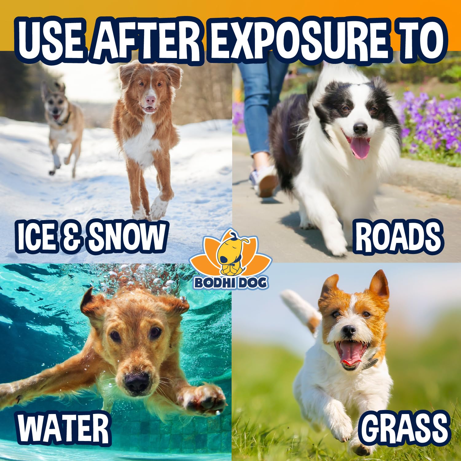 Bodhi Dog Paw Balm - Usda Certified Organic, Natural Healing & Soothing For Dry, Cracking, Rough Pet Paws- Protects, Restores, &