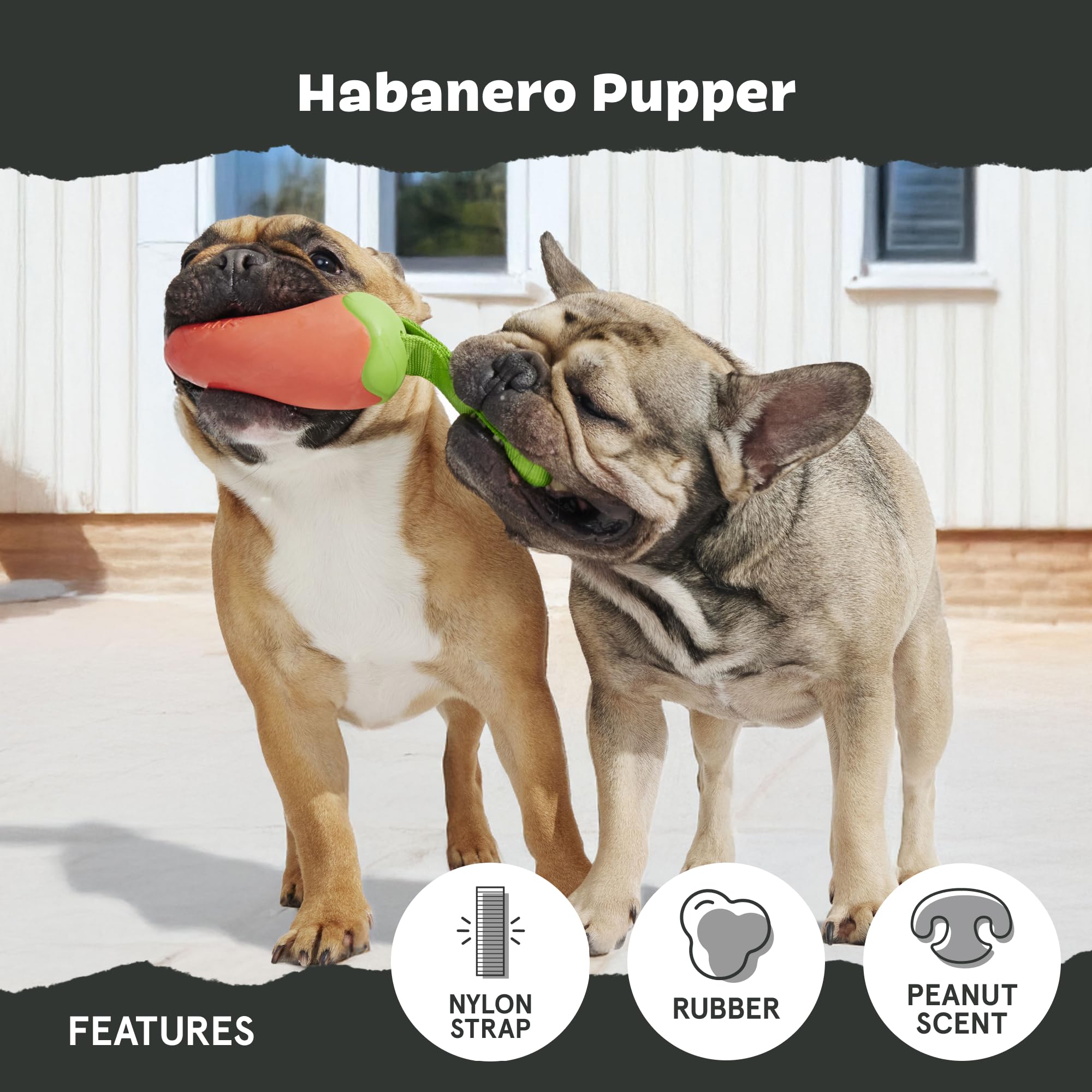Barkbox Habanero Pupper Dog Toy For Medium Dogs Built For Aggressive Chewers, Who Love Tugging, Tossing And Thrashing Fun