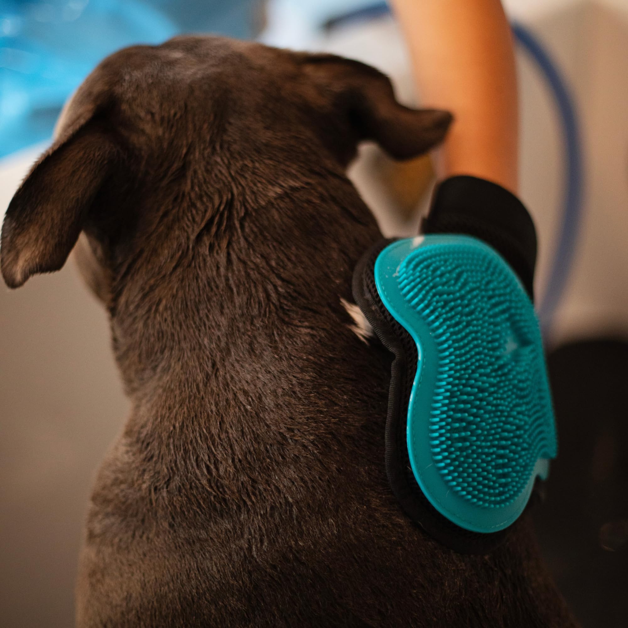 Messy Mutts Reversible Silicone Pet Grooming Glove | Gentle Massage, Brush, Bath And Dog Hair Removal Mitt | One Size Fits All | Blue