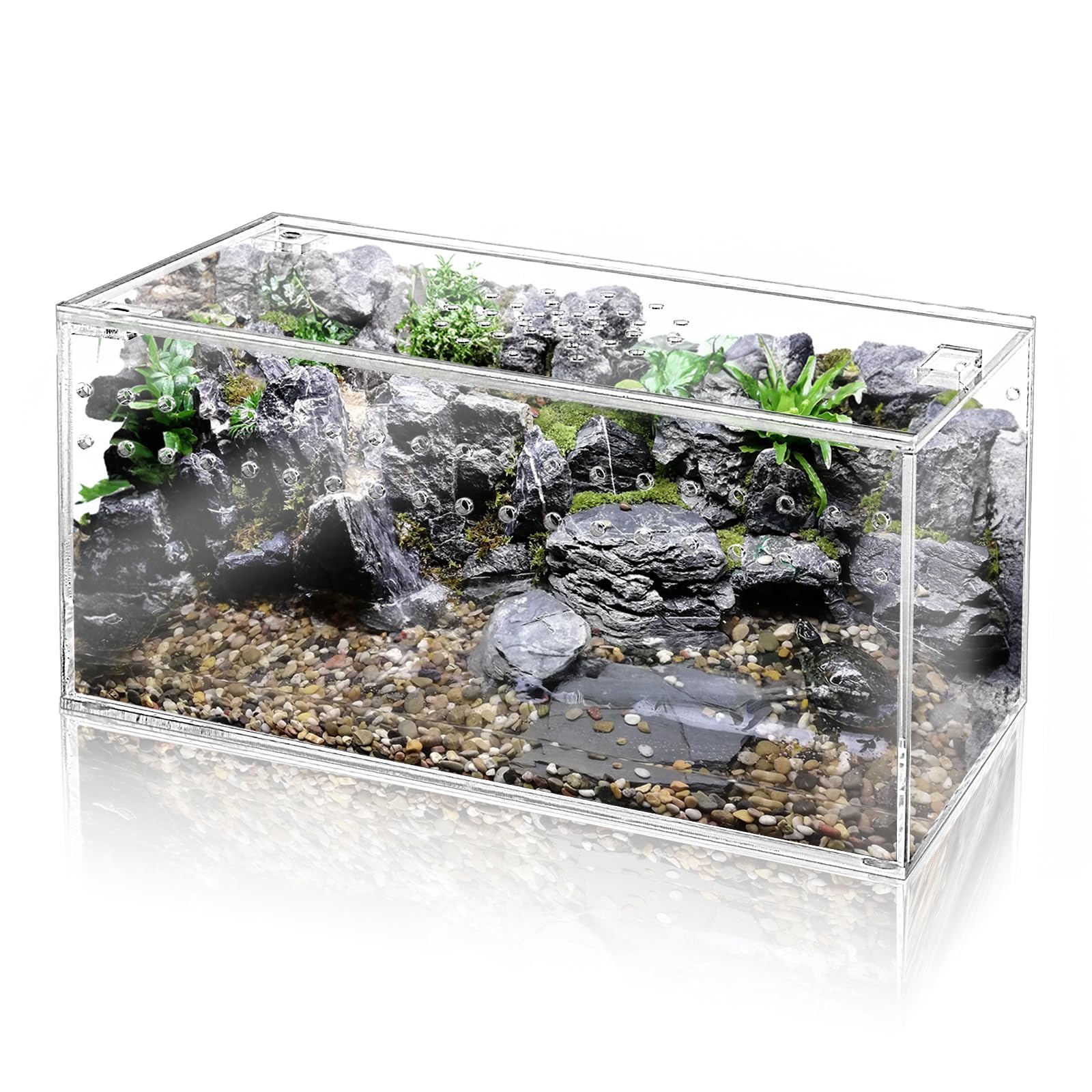 Tlence Acrylic Tarantula Enclosure Terrarium, 8 x 4 x 4 Small Magnetic Reptile Tank, Micro Spider Breeding Habitat Cage, Clear V