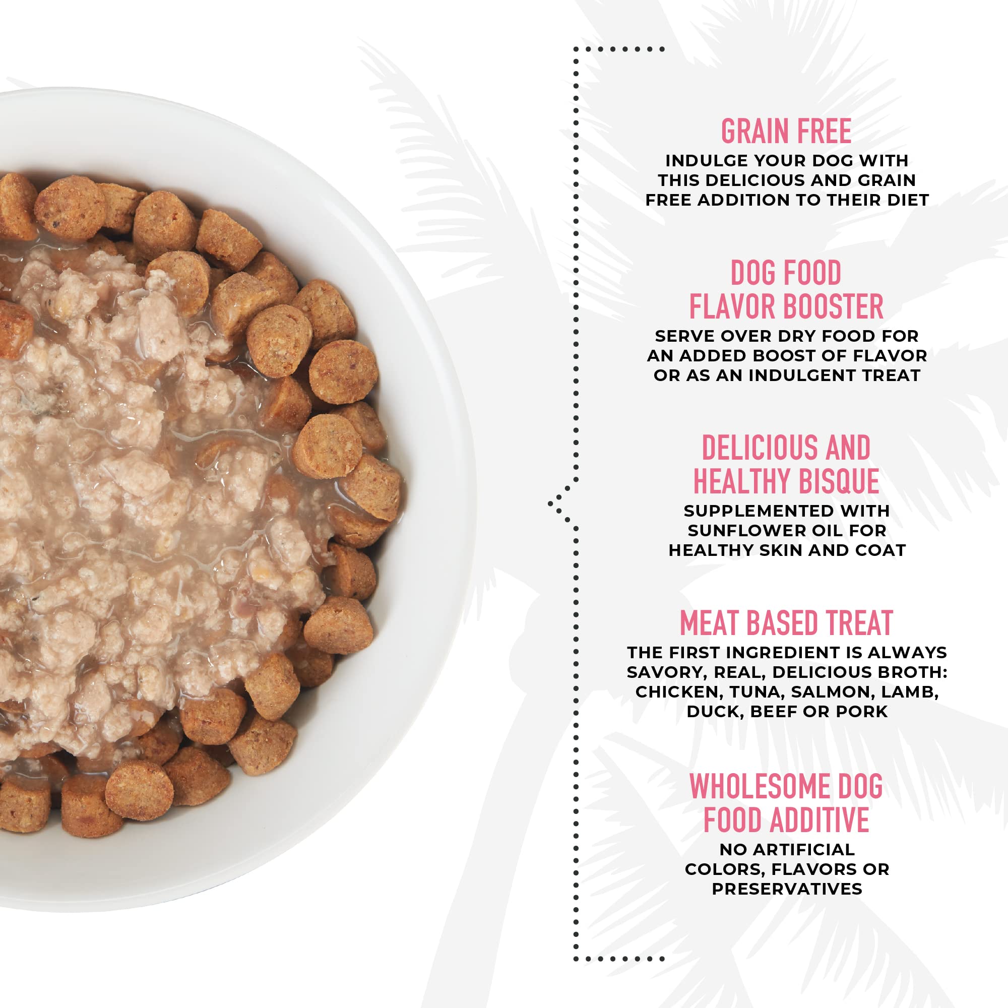 Tiki Dog Born Carnivore Flavor Booster, Salmon Recipe Bisque, Grain Free Meat Based Treat, Meal Topper for All Dog Breeds and Al