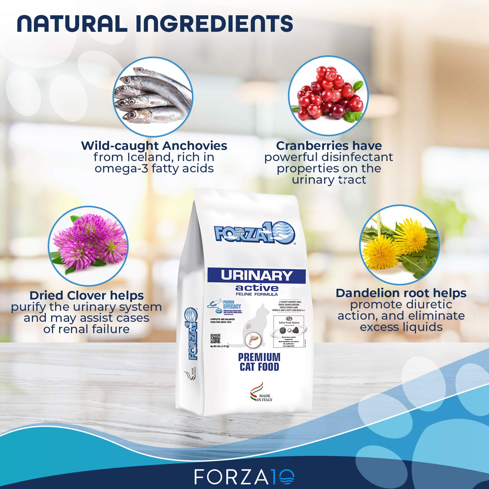 Forza10 Active Urinary Dry Cat Food, Cat Food Dry for Adult Cats, Helps Improve Urinary Tract and Urinary Issues, Fish Flavor Ca