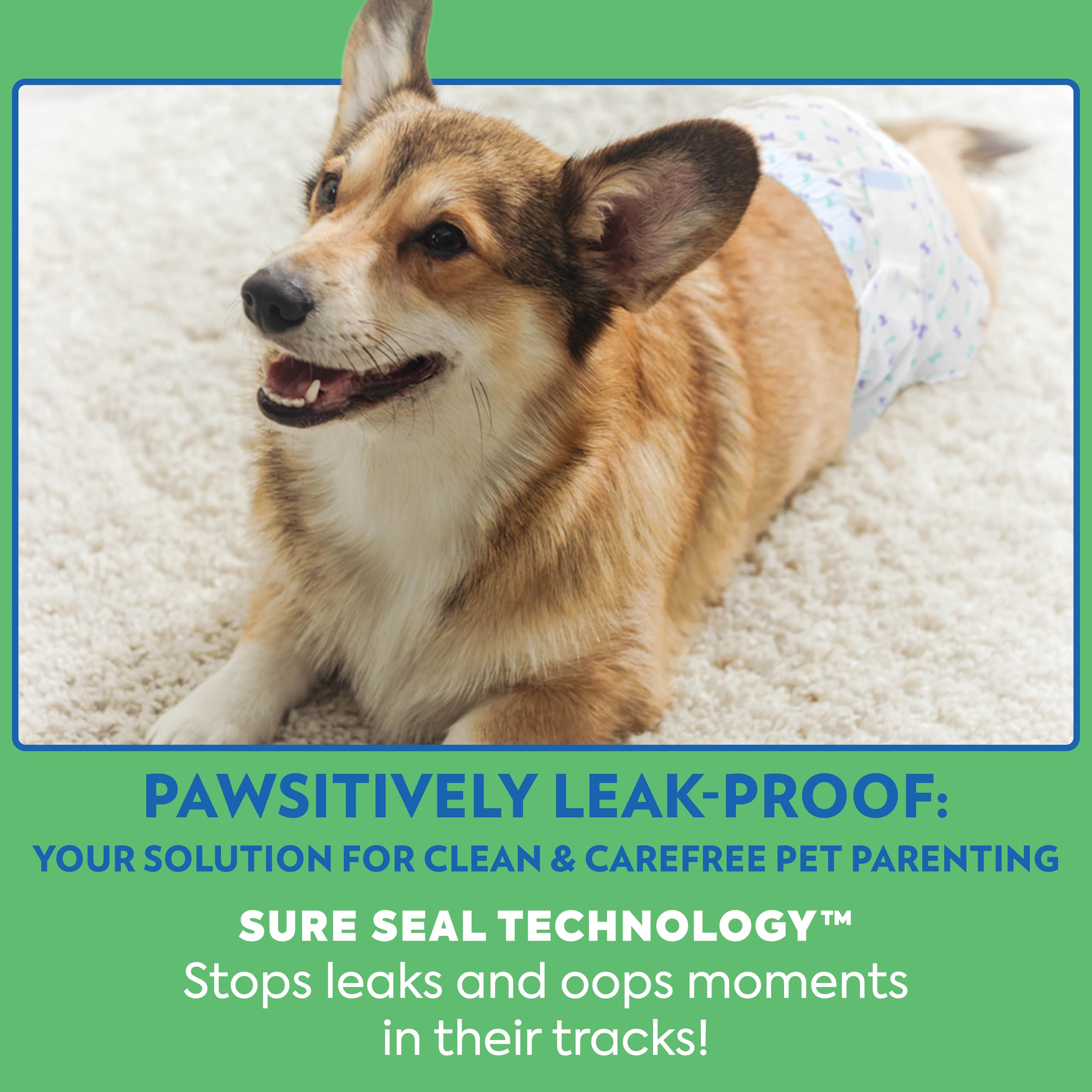 OUT! PetCare Disposable Male Dog Wraps, Safe, Male Wraps for Dogs, Pee Wraps Belly Bands for Male Dogs, Leak Proof, Wetness Indi