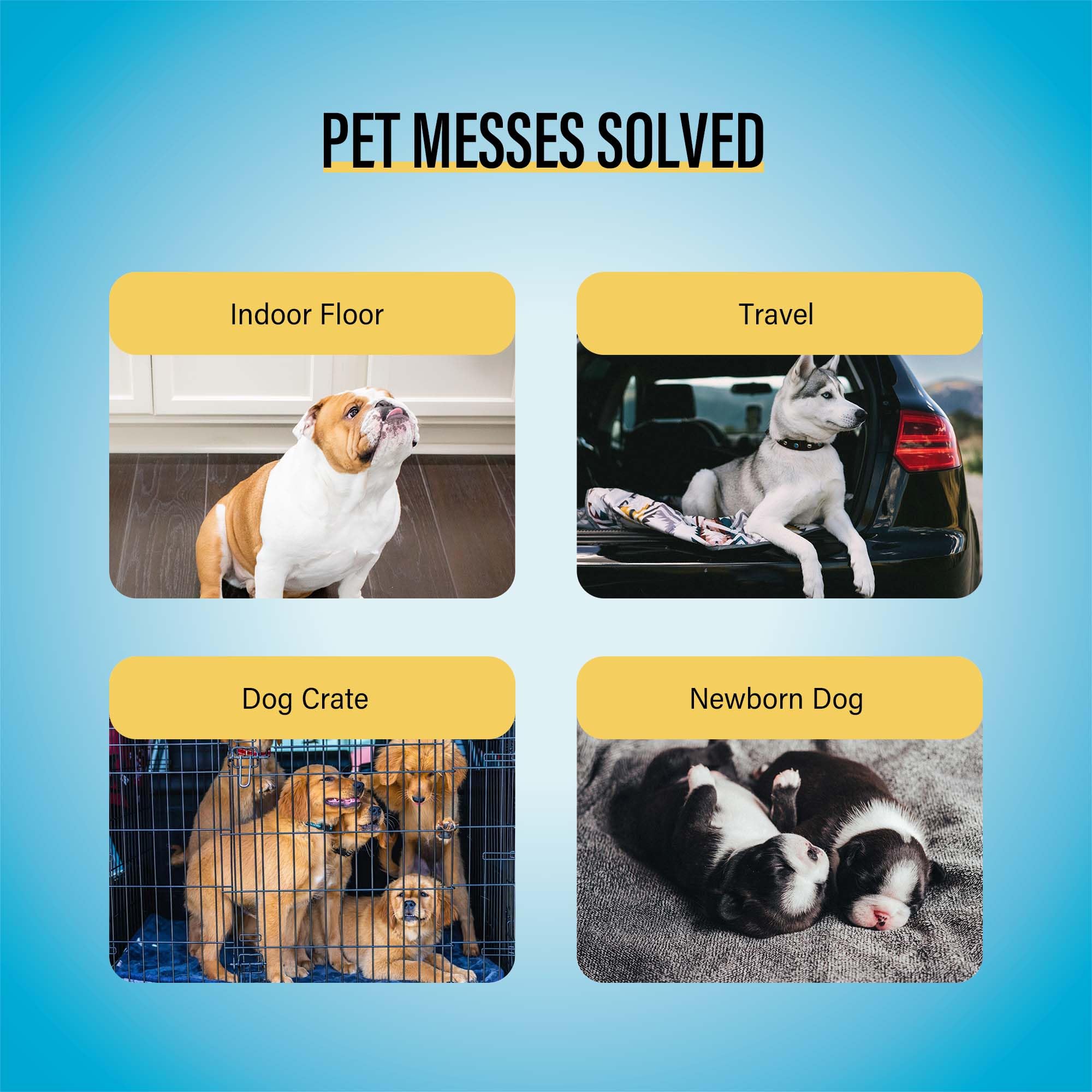 Cocoyo Best Value Training Pads, 30'X36' Xxl, 80 Count,White