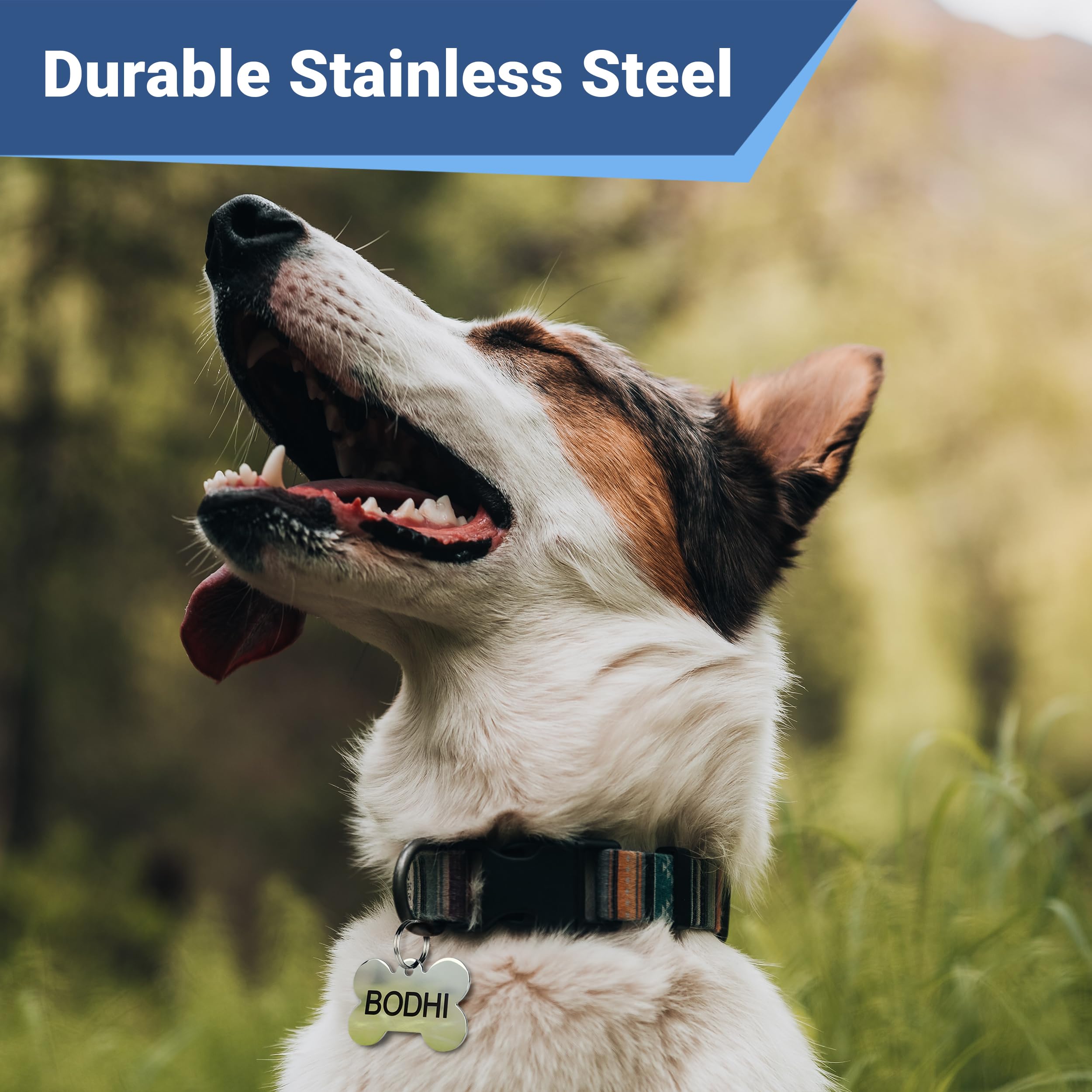 Gotags Dog Tags Personalized Engraved Pet Id Tags, Stainless Steel, Front And Backside Engraving, Available In Bone, Round, Hear