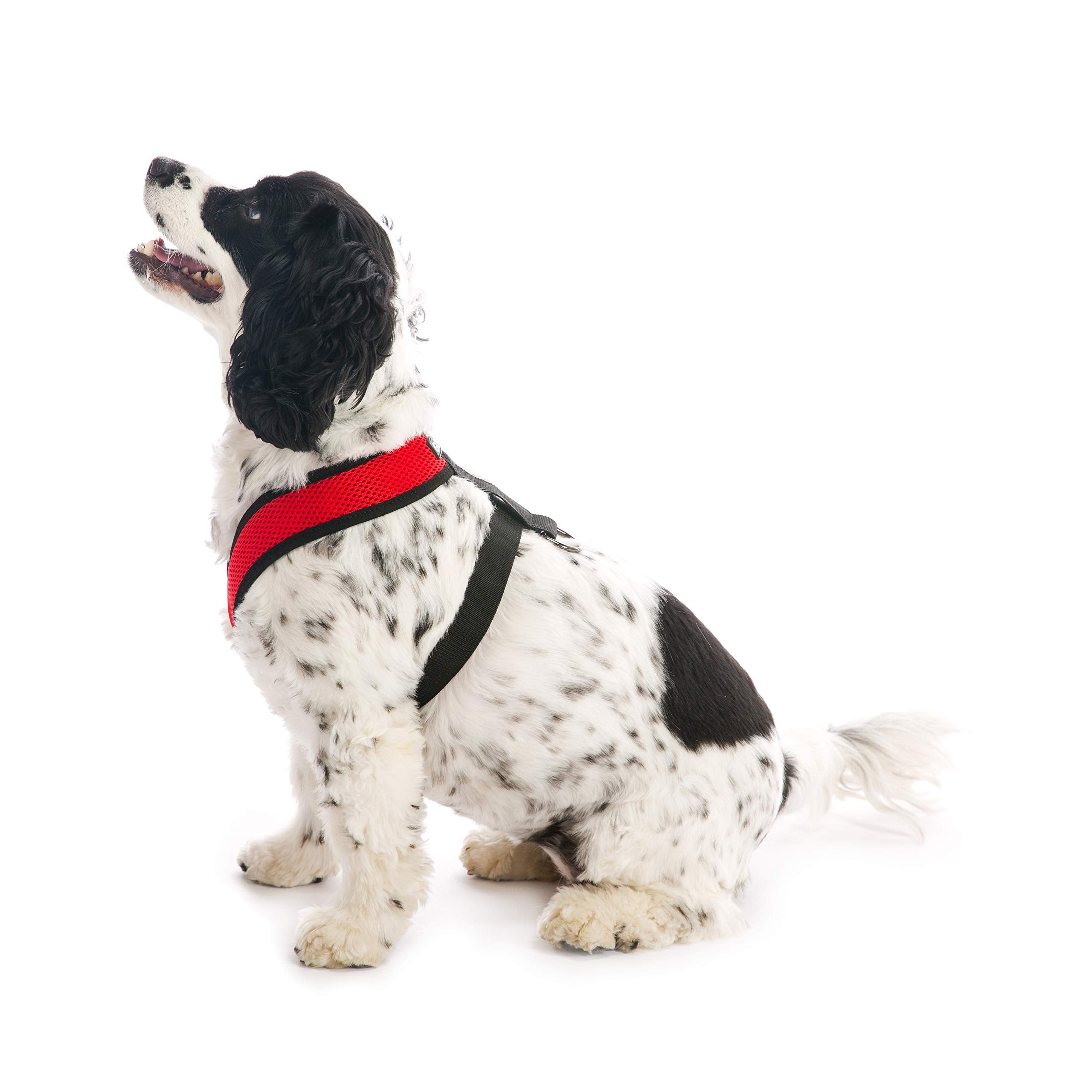Gooby Comfort X Head In Harness - Red, X-Large - No Pull Small Dog Harness, Patented Choke-Free X Frame - Perfect On The Go Dog
