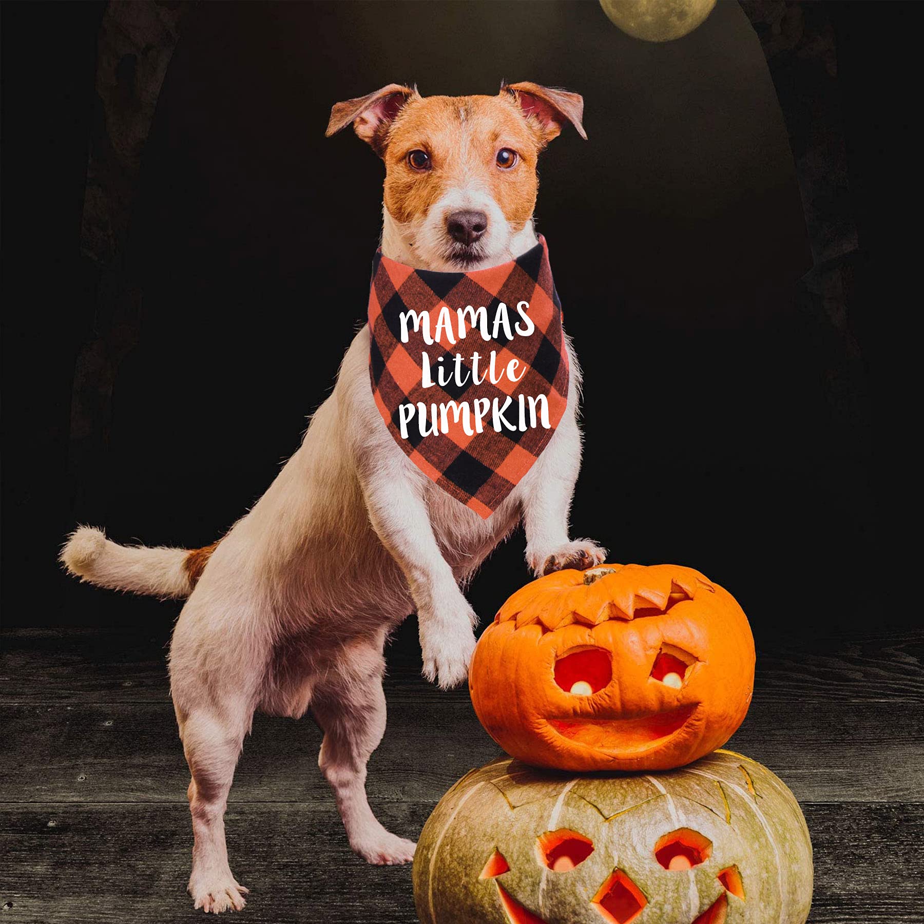 Stmk Holiday Plaid Dog Bandanas, Halloween Thanksgiving Day Daddy’S Little Turkey Mamas Little Pumpkin Dog Bandana Scarf For Halloween Thanksgiving Day Dog Puppy Costume Decorations