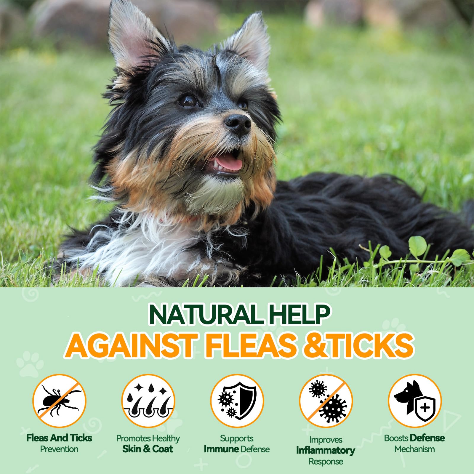 Carmelie Flea and Tick Prevention for Dogs - 200 Chews Natural Dog Flea and Tick Support, Oral Flea Supplement for All Dogs, Sup