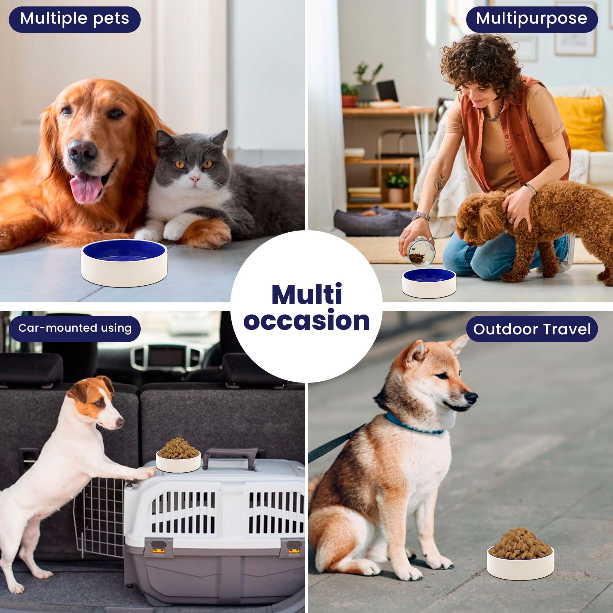 Ethical Pet Dog Dish Size: 2.75' H X 5.25' W X 5.25' D