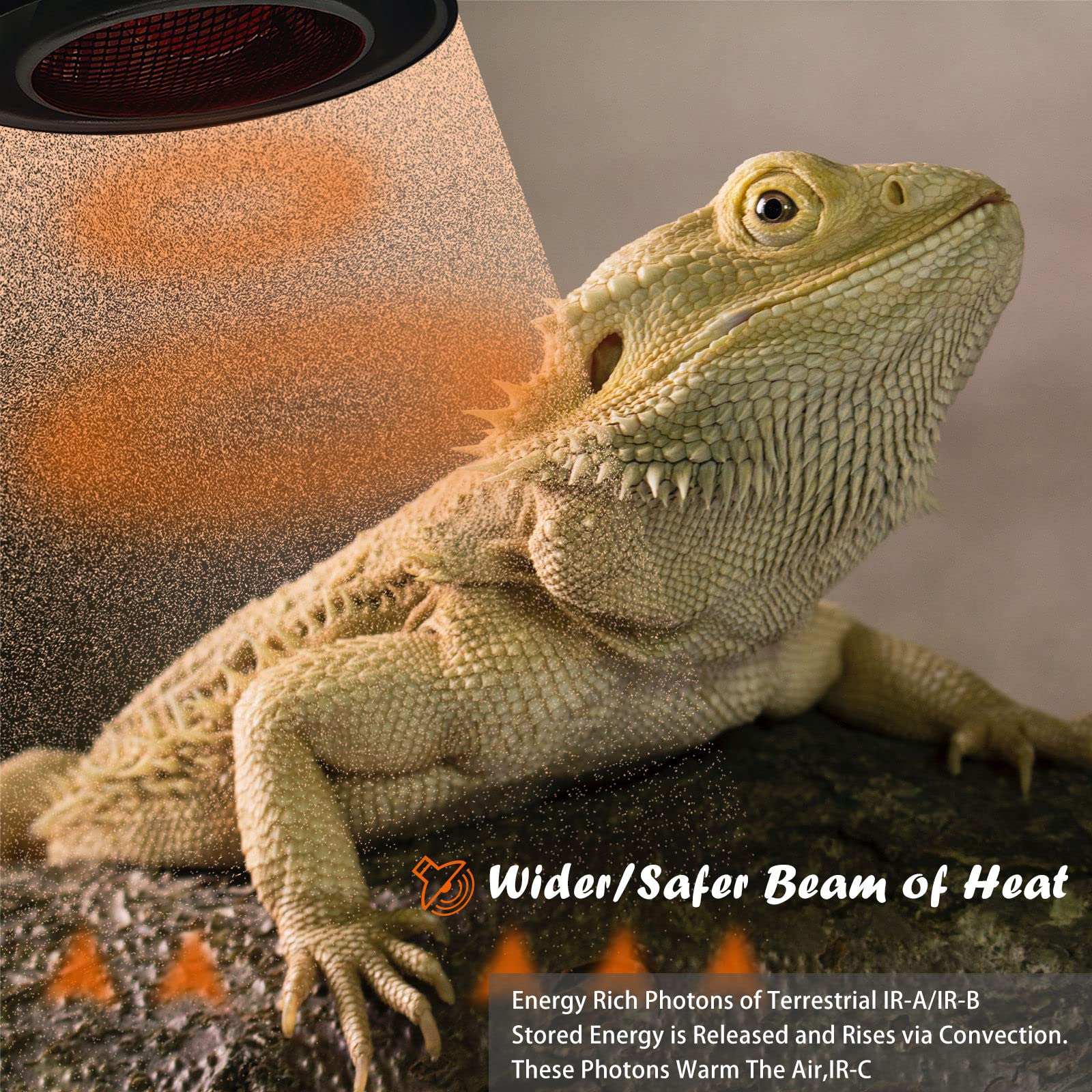 ExoRepti Deep Heat Projector Reptile Heat Lamp Bulb (DHP 100W, PAR30), Basking Light for Bearded Dragon & Leopard Gecko, Carbon