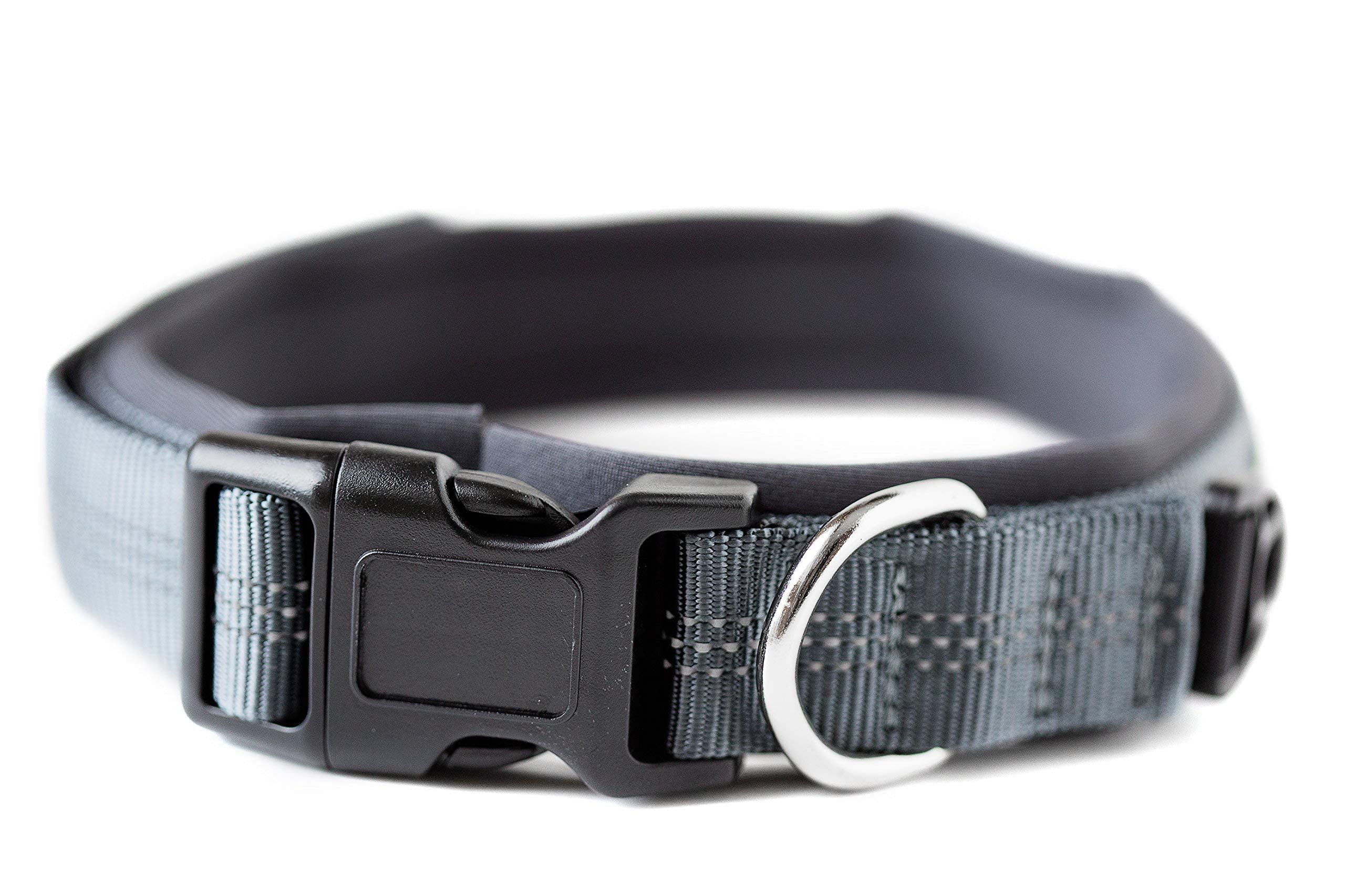 Mighty Paw Dog Collar - Neoprene Padded - Reflective For Running - Extra Comfort For Active Dogs - Lined And Strong Collar - Pre