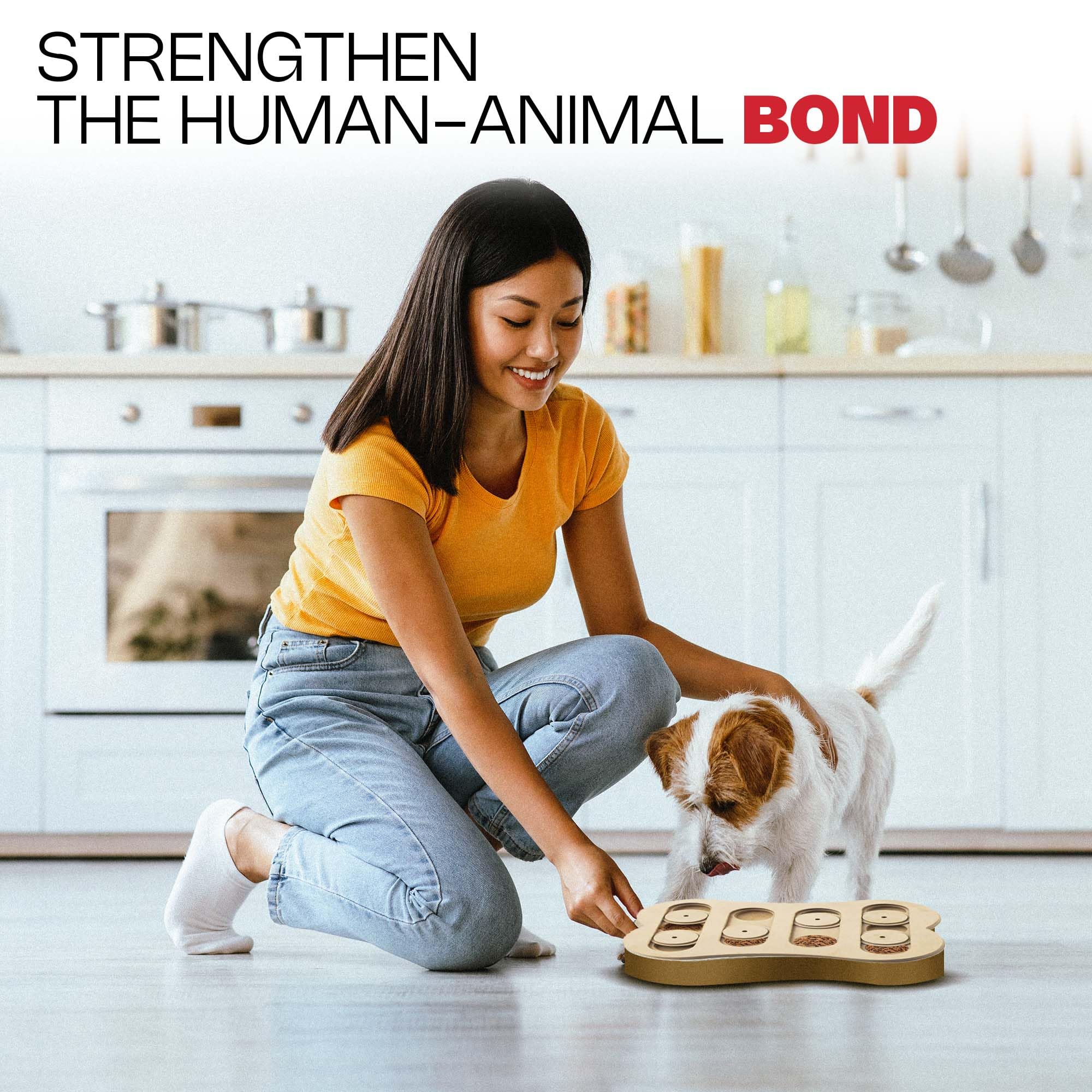 SPOT Ethical Pet Interactive Seek-A-Treat Shuffle Bone Toy Puzzle That Will Improve Your Dogs IQ, Specially Designed for Traini