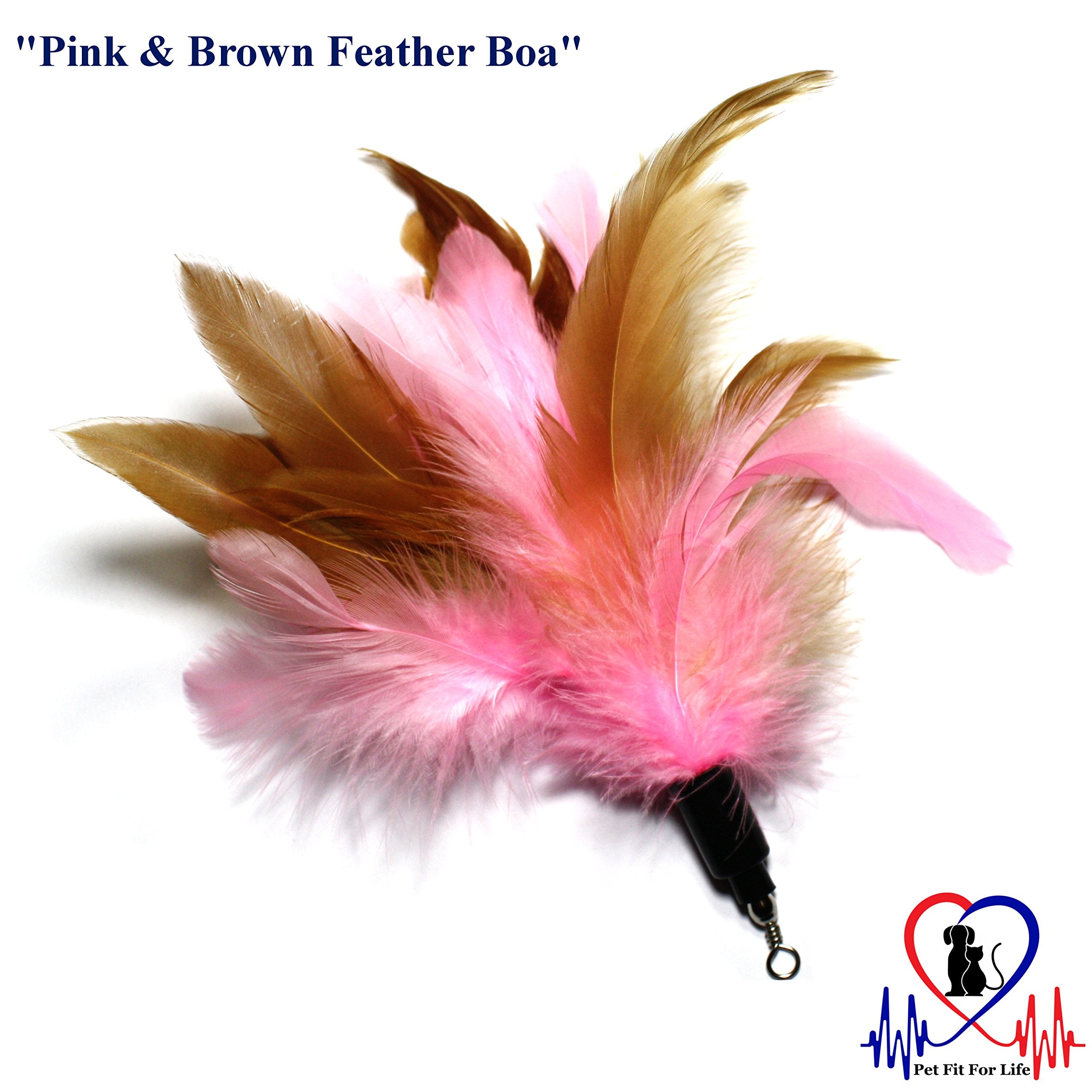 Pet Fit For Life 3 Piece Dual Rod Feather Teaser and Exerciser with a Slithering Snake for Cat and Kitten - Cat Toy Interactive