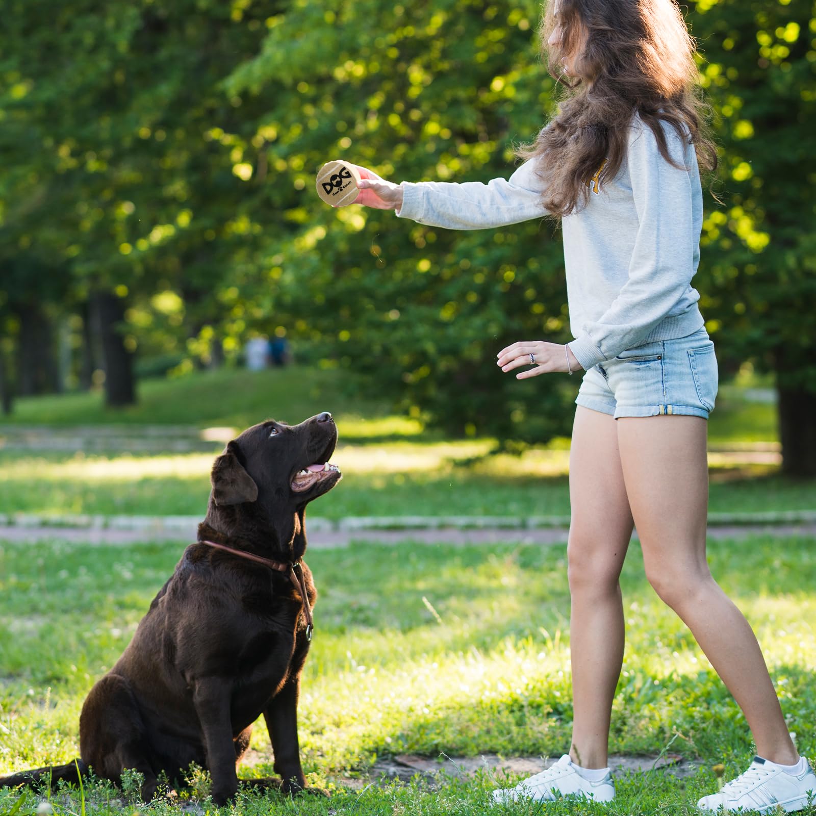 Insum Squeaky Dog Balls - Squeaky Tennis Balls For Dogs, Brown | Medium - 2.5'', 4Pack